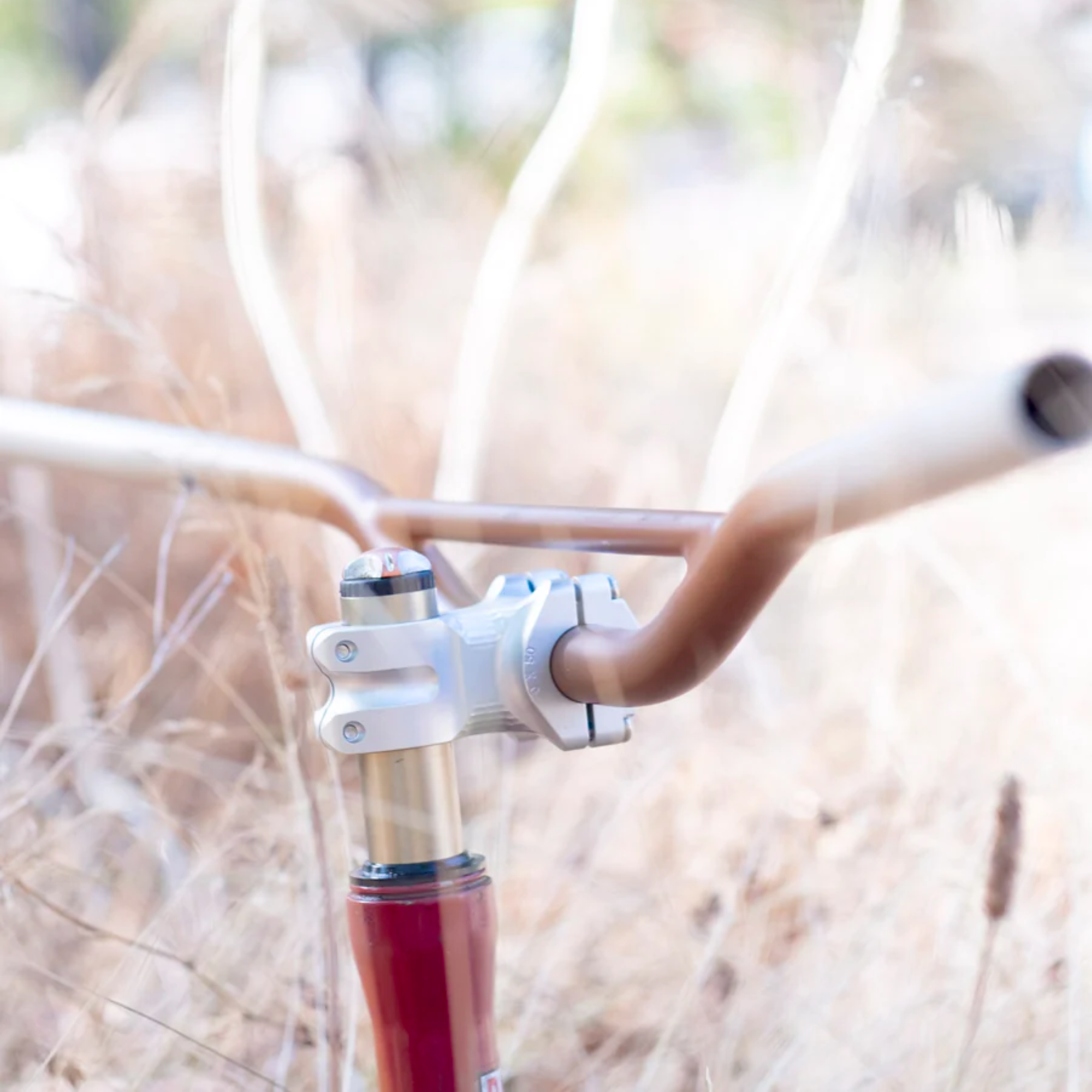 FORAGER CYCLES Oyster Bar