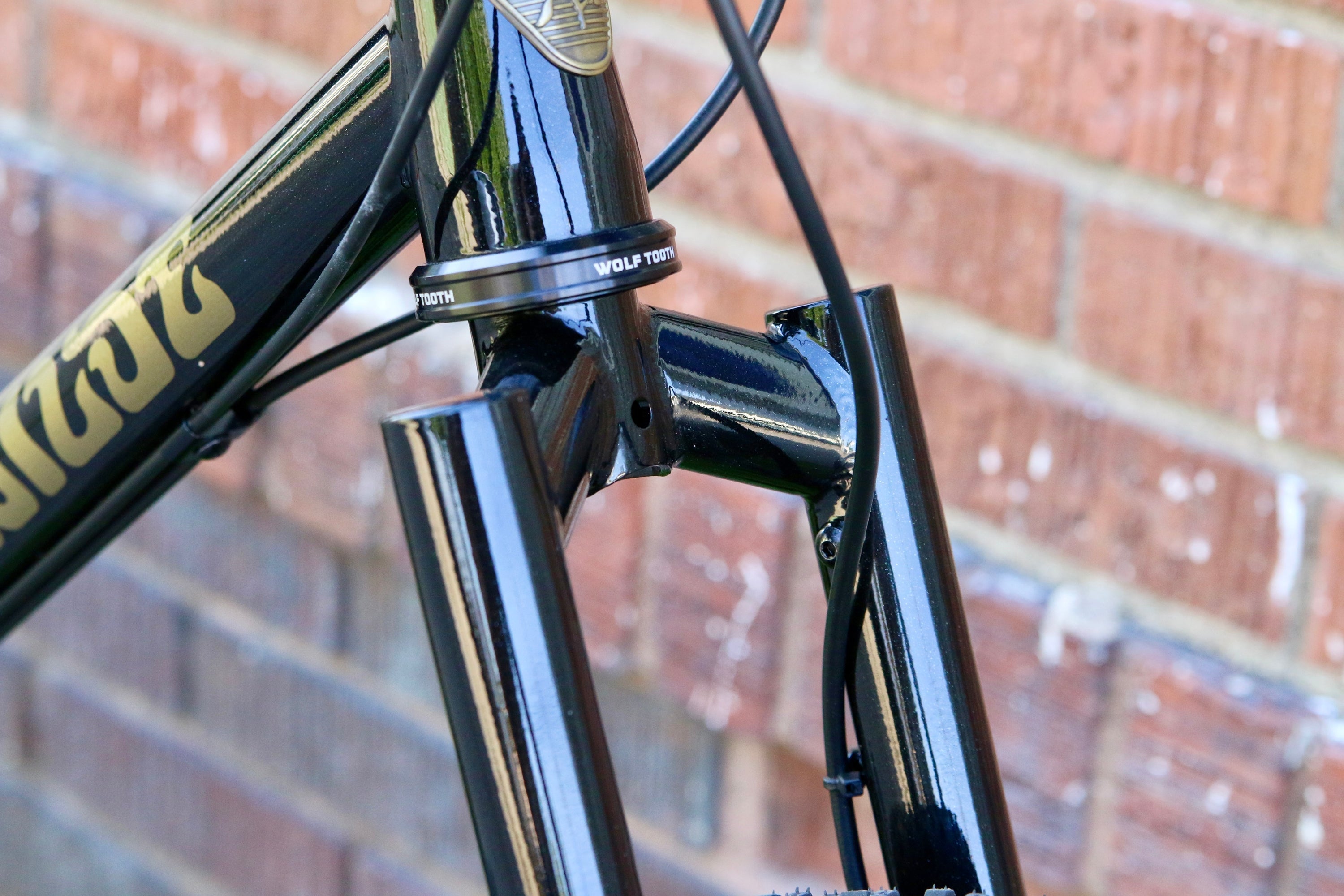 WILDE BICYCLE Future Proof Fork - Sparkle Black