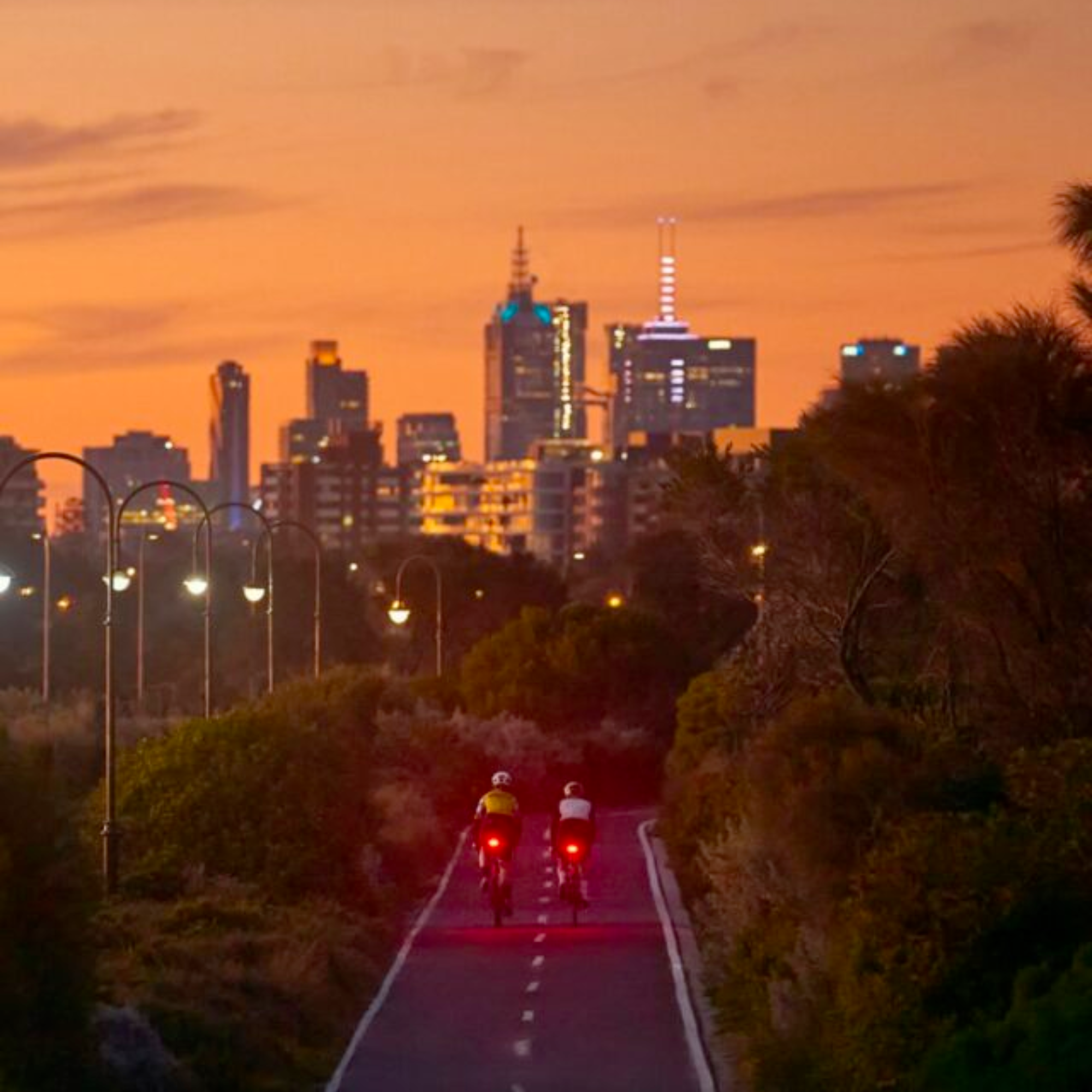 KNOG Blinder Link Rear Saddle