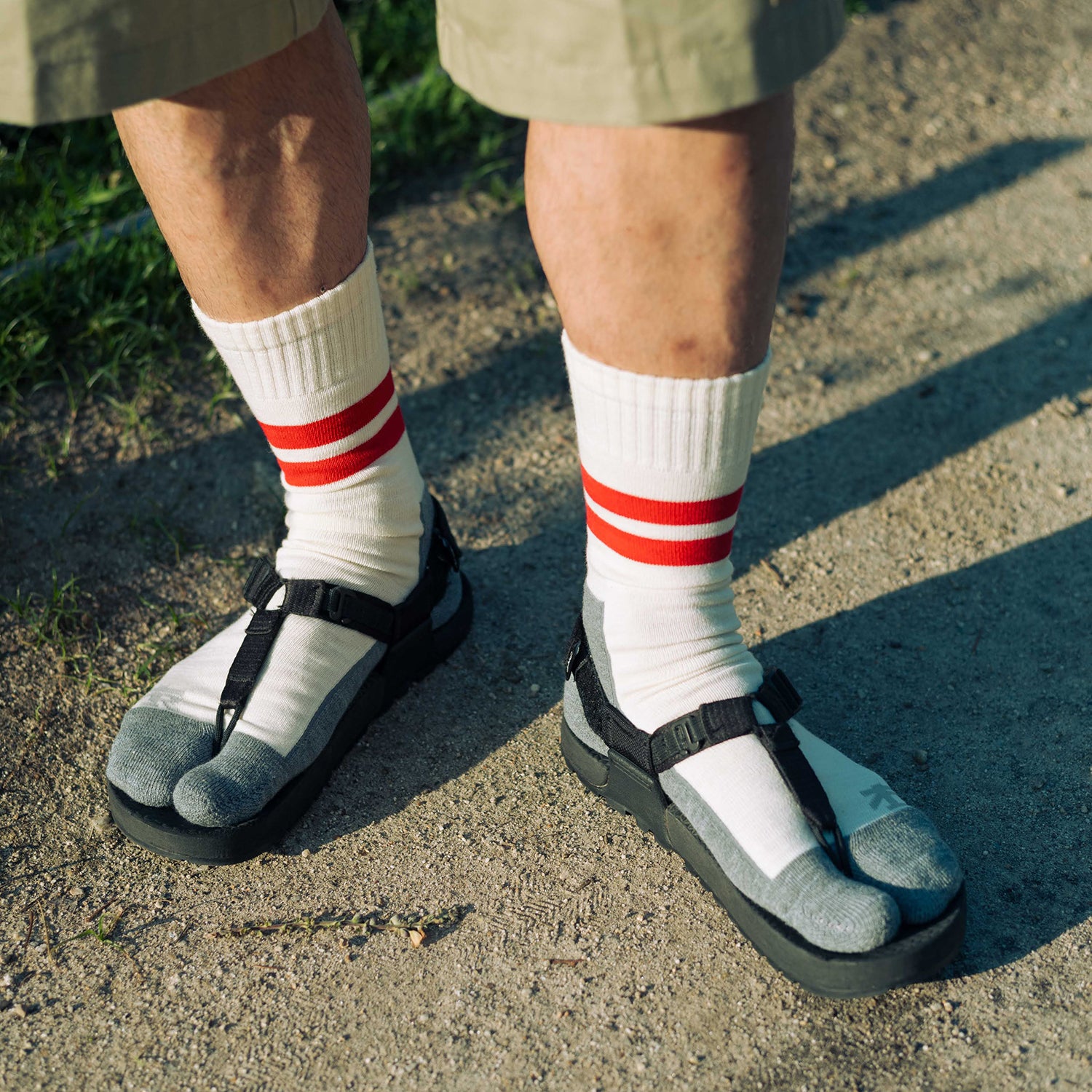 RAL Tabby Socks 2025