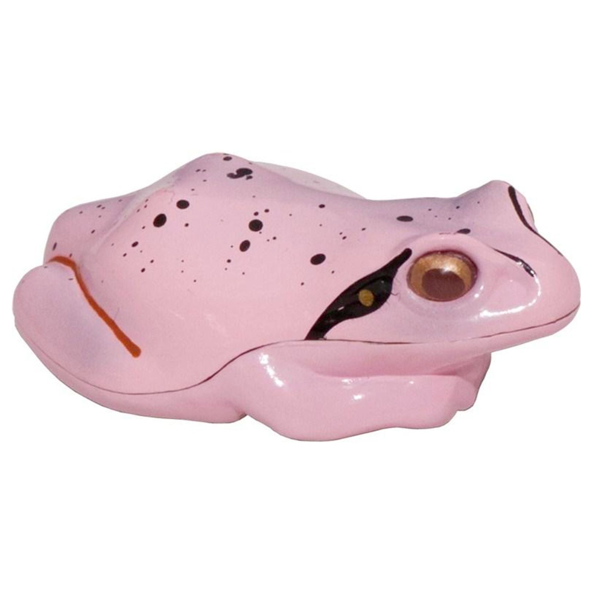 NOGUCHI I LIVE Light Frog