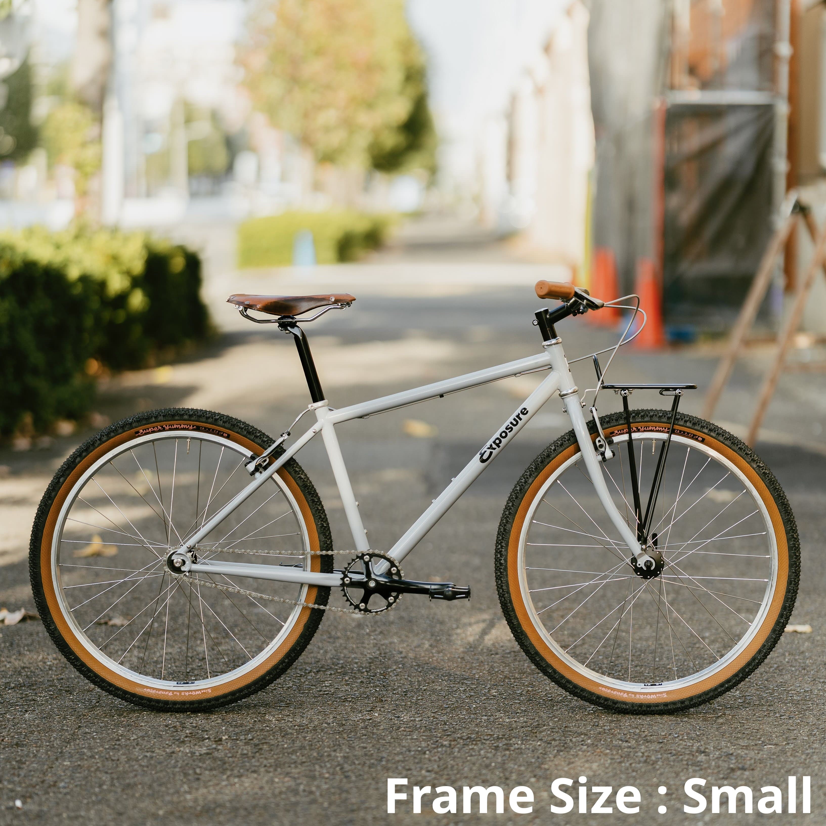 RAL Exposure - Trail Commuter Frame Set
