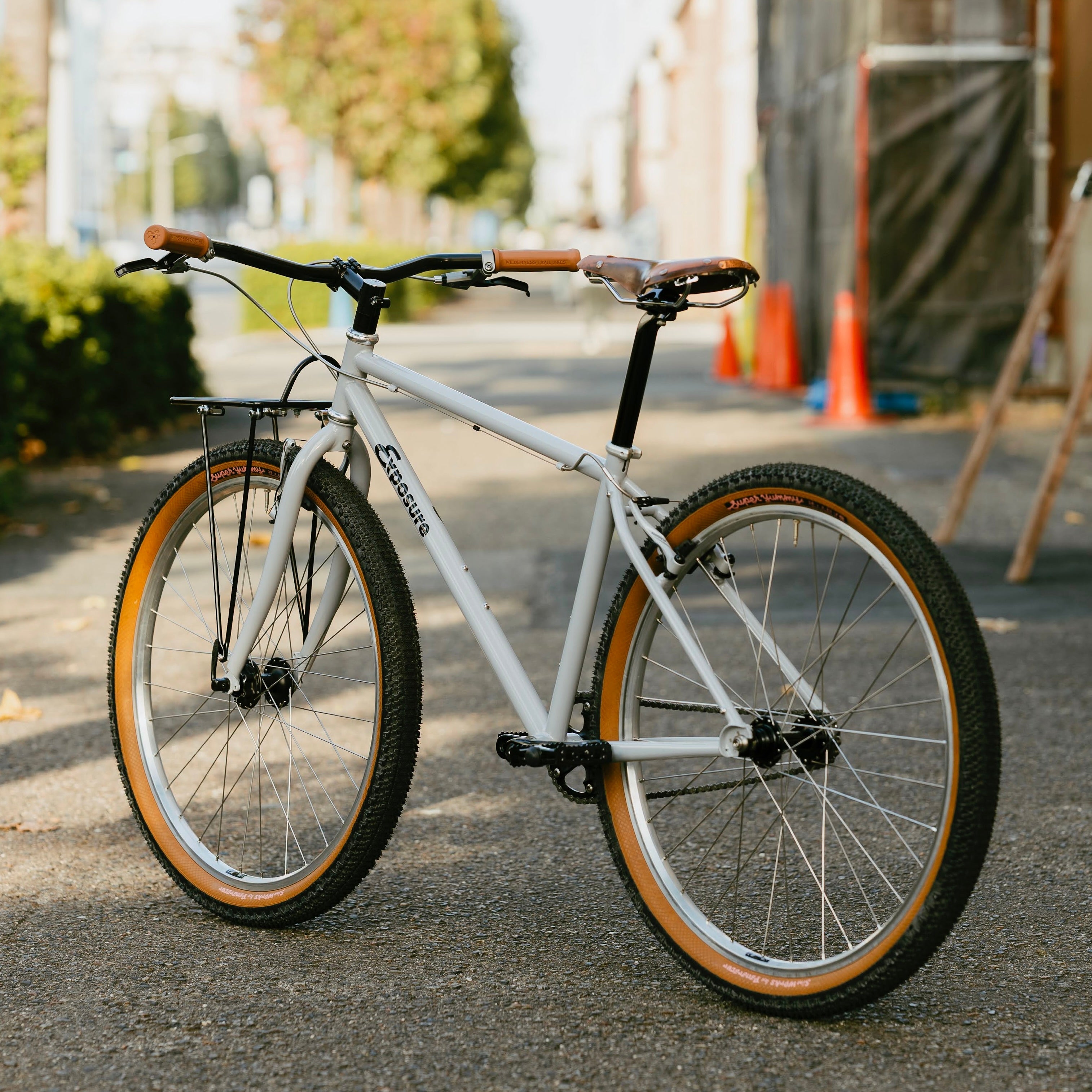 RAL Exposure - Trail Commuter Frame Set