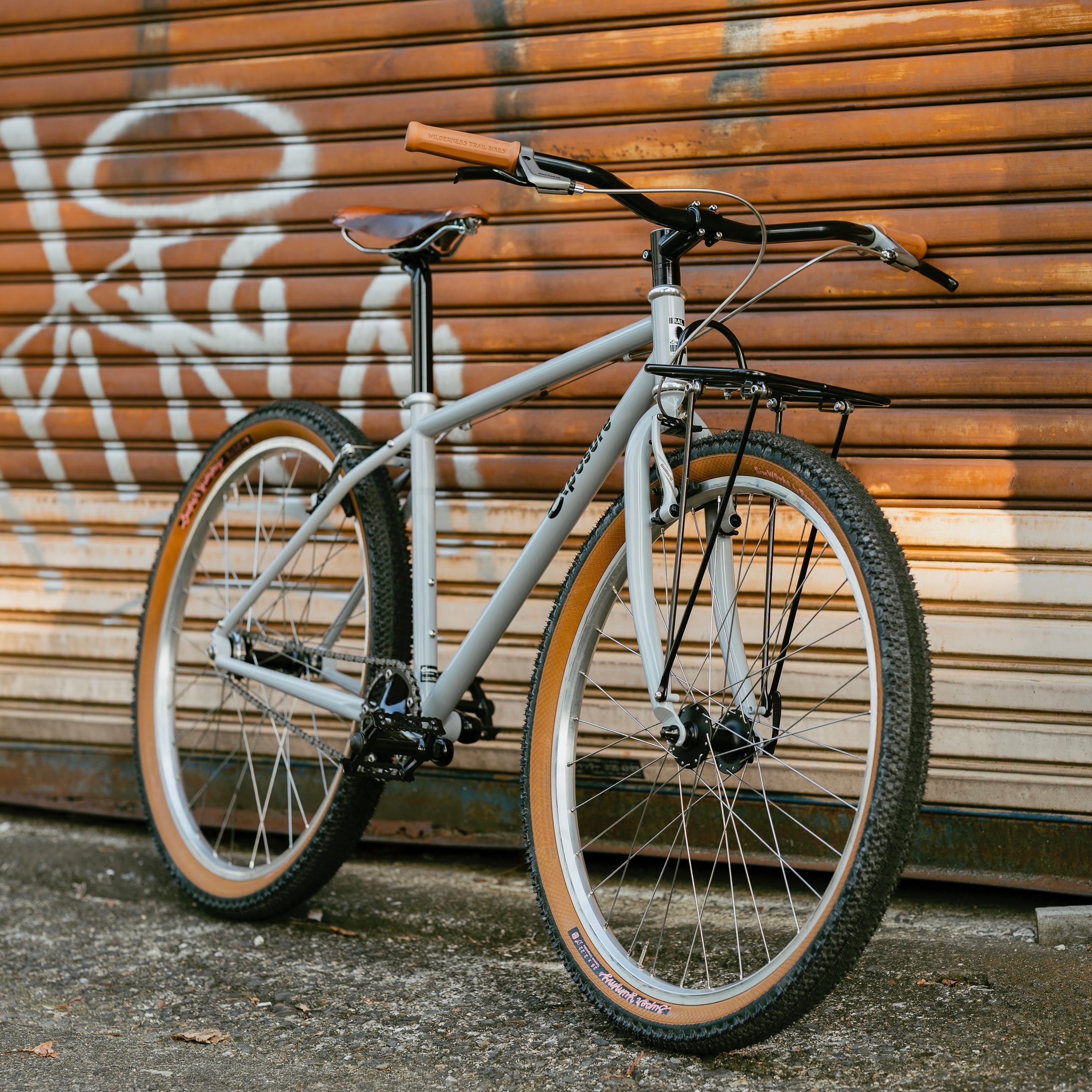 RAL Exposure - Trail Commuter Frame Set