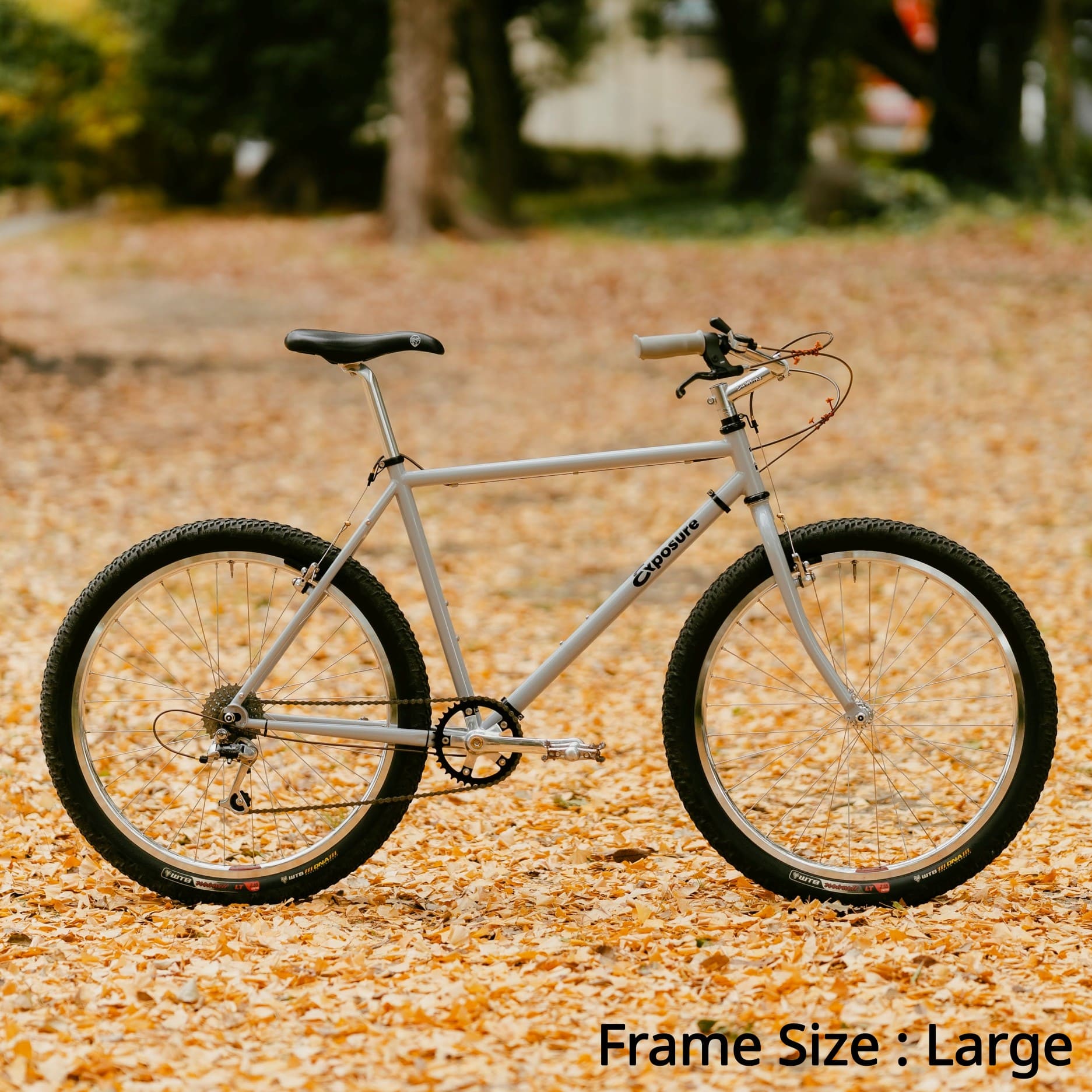 RAL Exposure - Trail Commuter Frame Set