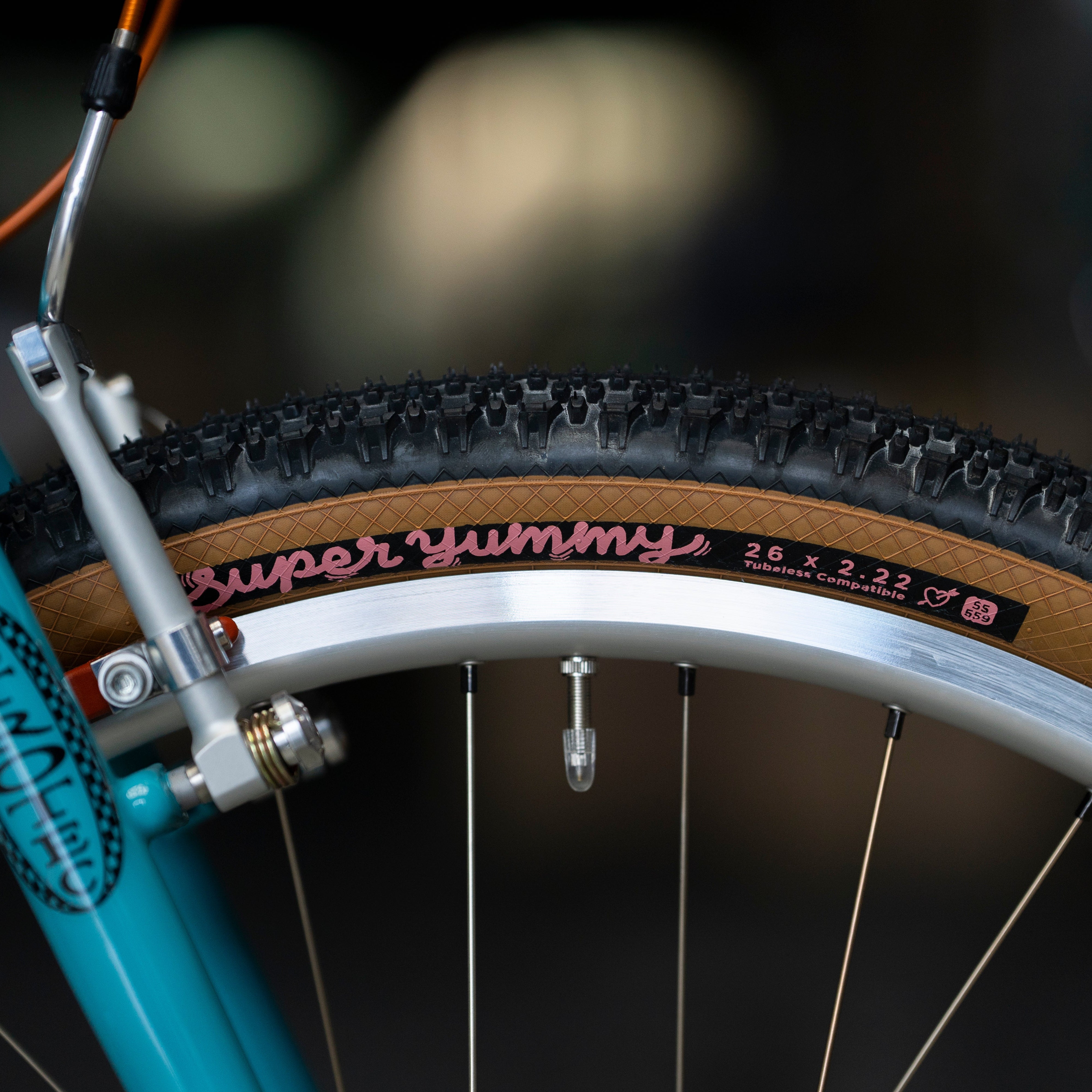 RETROTEC 26" Single Speed MTB Circles Original Complete Bike