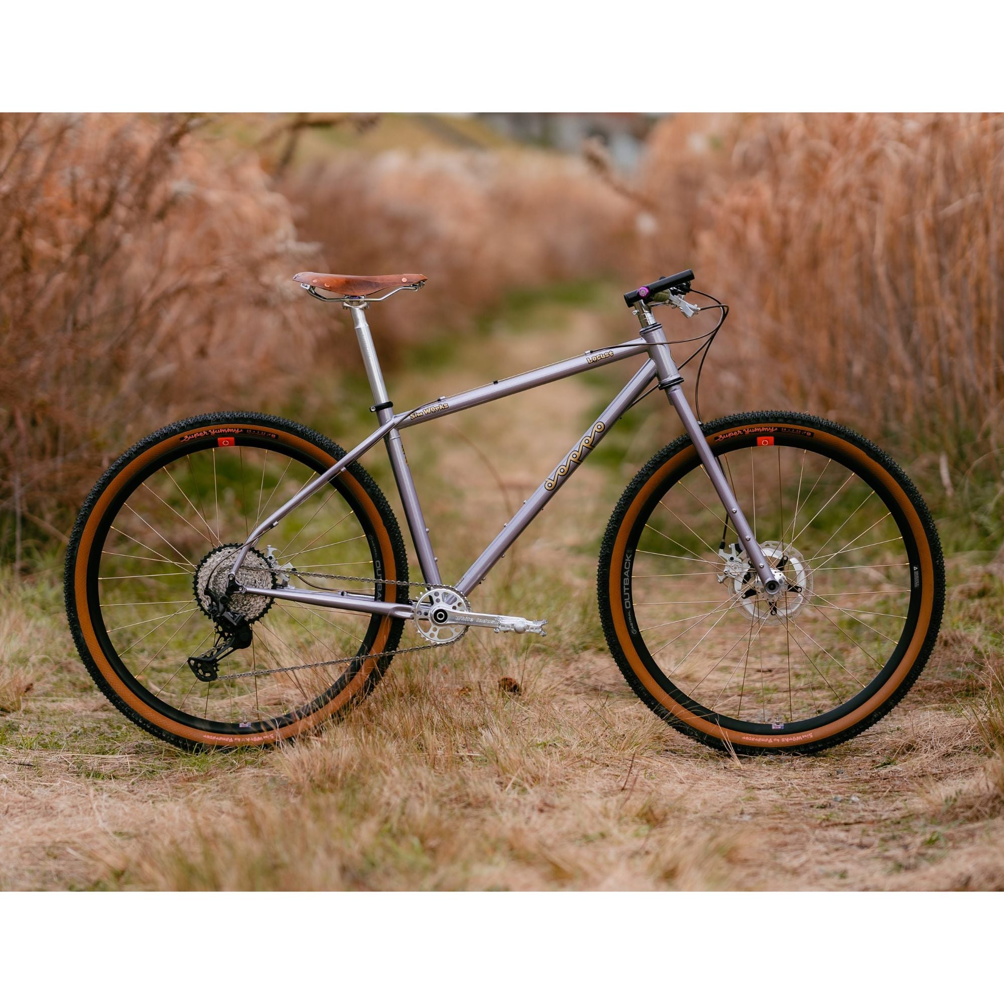 SIMWORKS Doppo Locust Frame Set