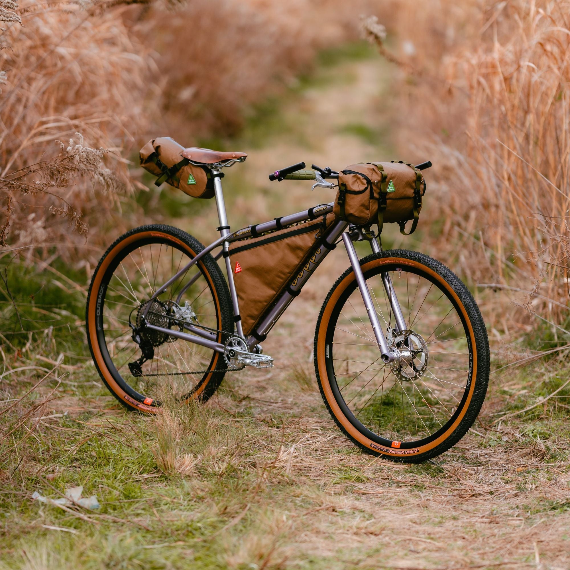 SIMWORKS Doppo Locust Frame Set