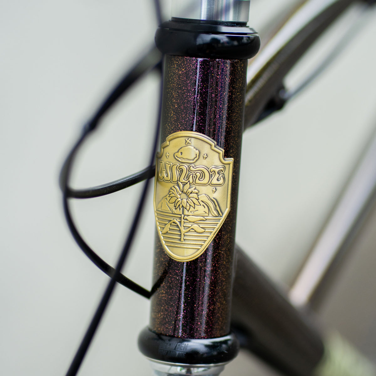 WILDE BICYCLE Moto-Cruiser Circles Original Complete Bike