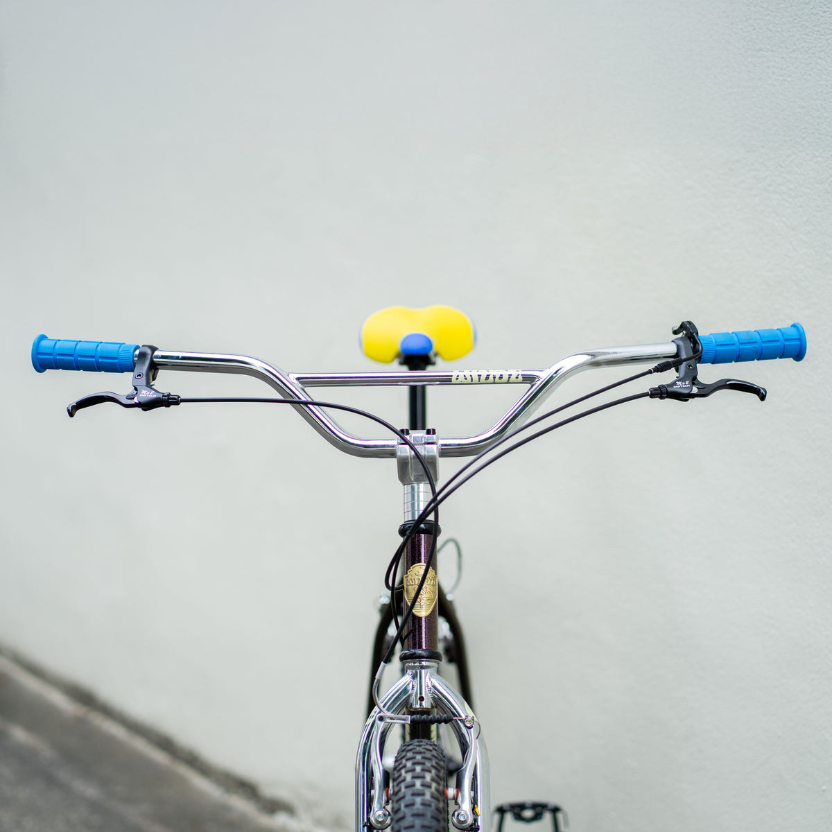 WILDE BICYCLE Moto-Cruiser Circles Original Complete Bike