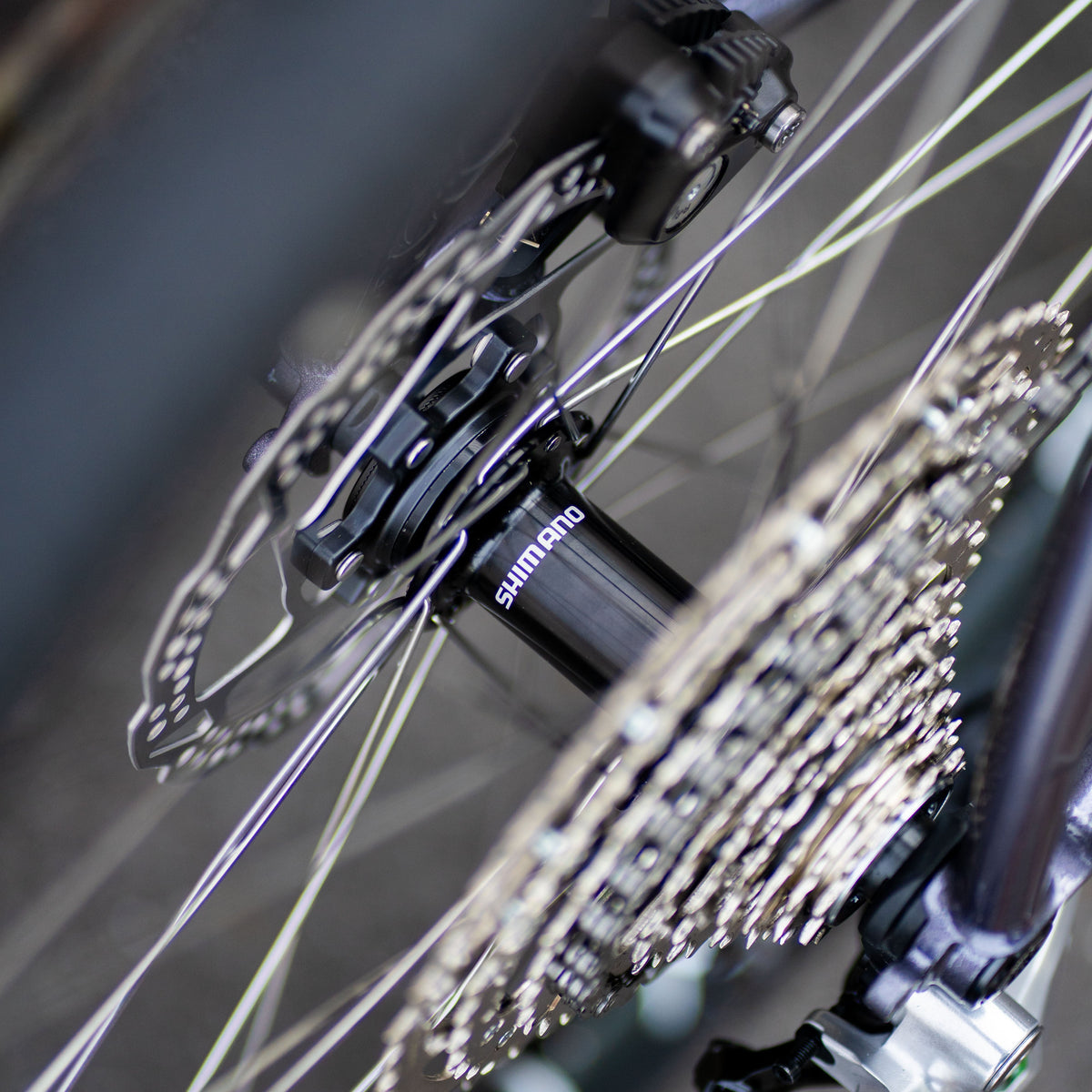 WILDE Rambler SL (M) Circles Original Complete Bike