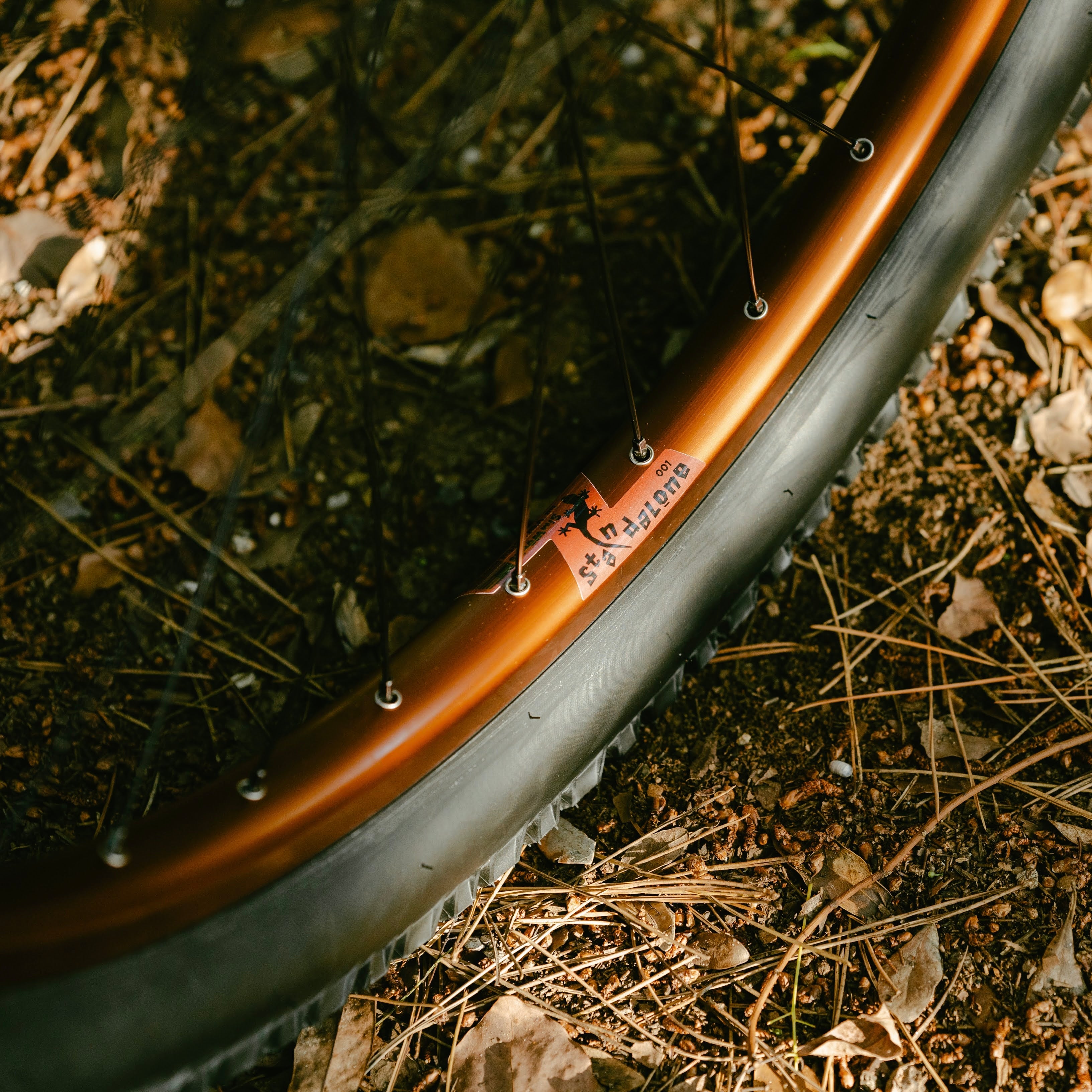 WILDE BICYCLE Supertramp Circles Original Complete Bike