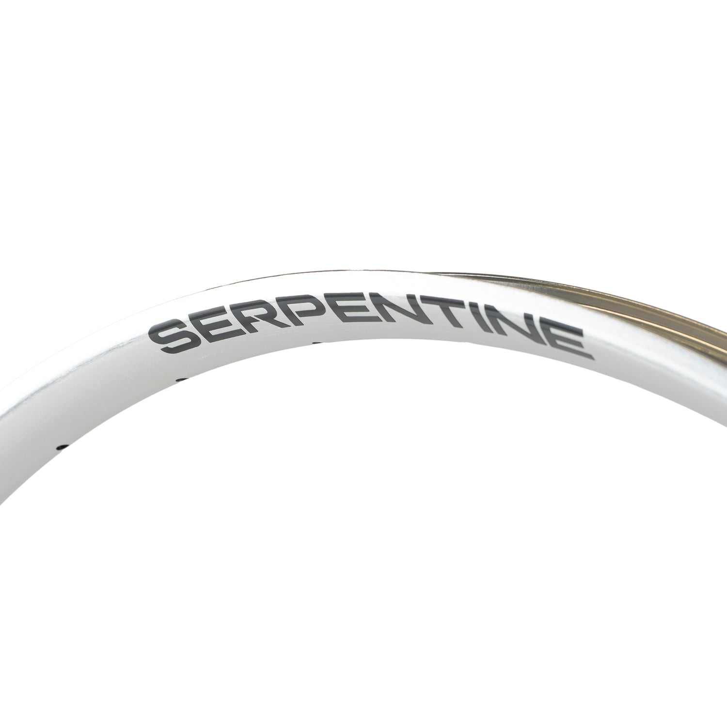 ASTRAL CYCLING Serpentine Rim - Matte Silver - 29"
