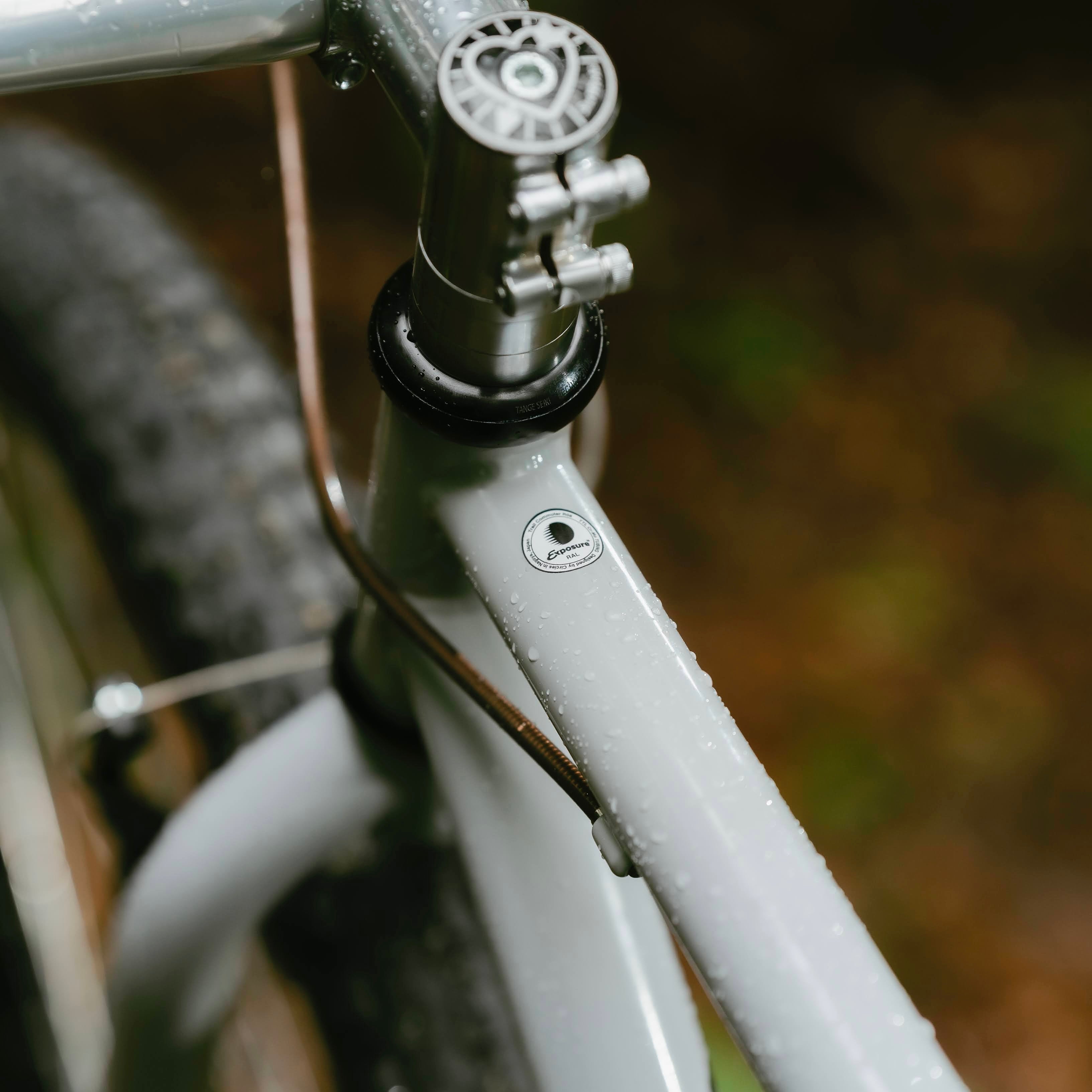 RAL Exposure - Trail Commuter Frame Set