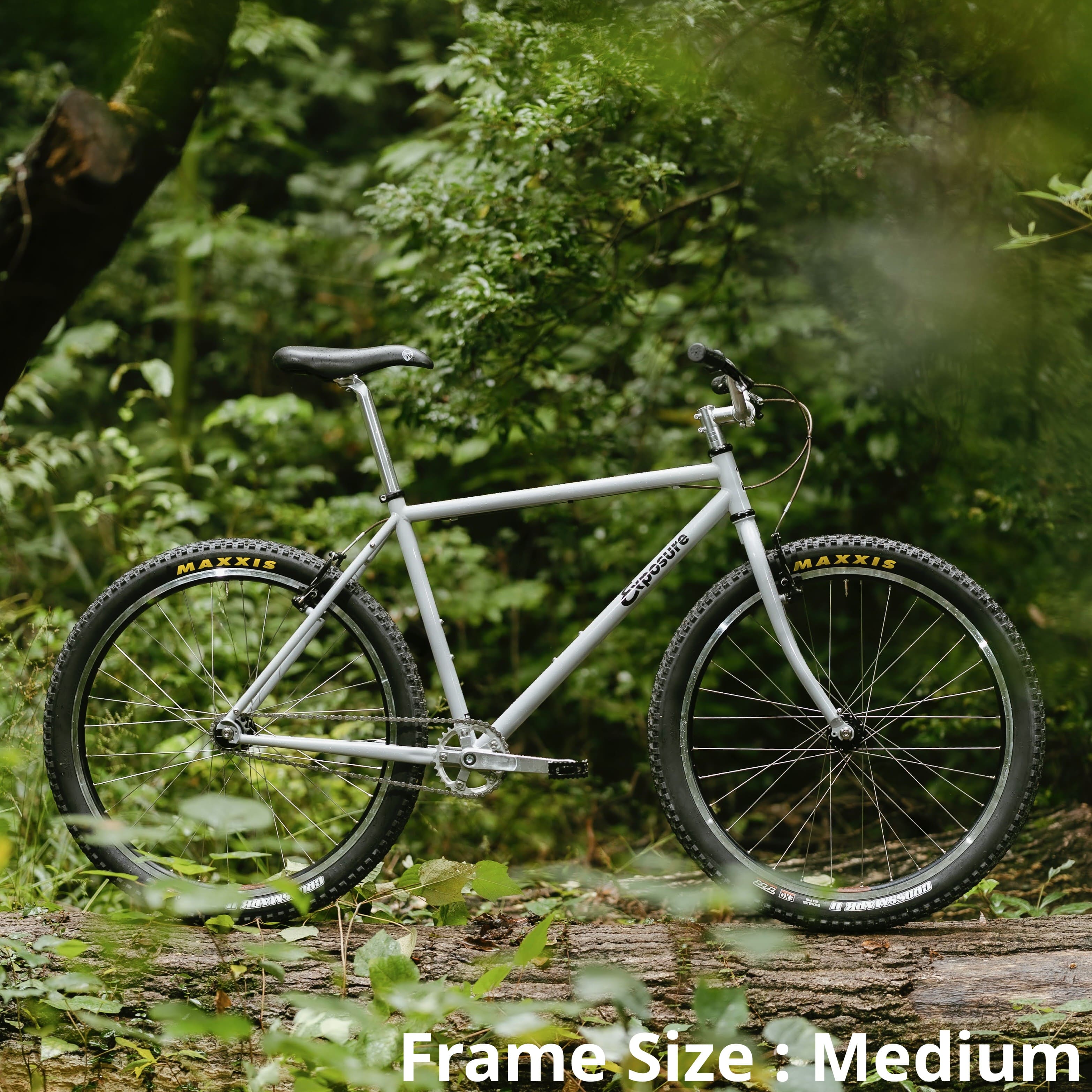 RAL Exposure - Trail Commuter Frame Set
