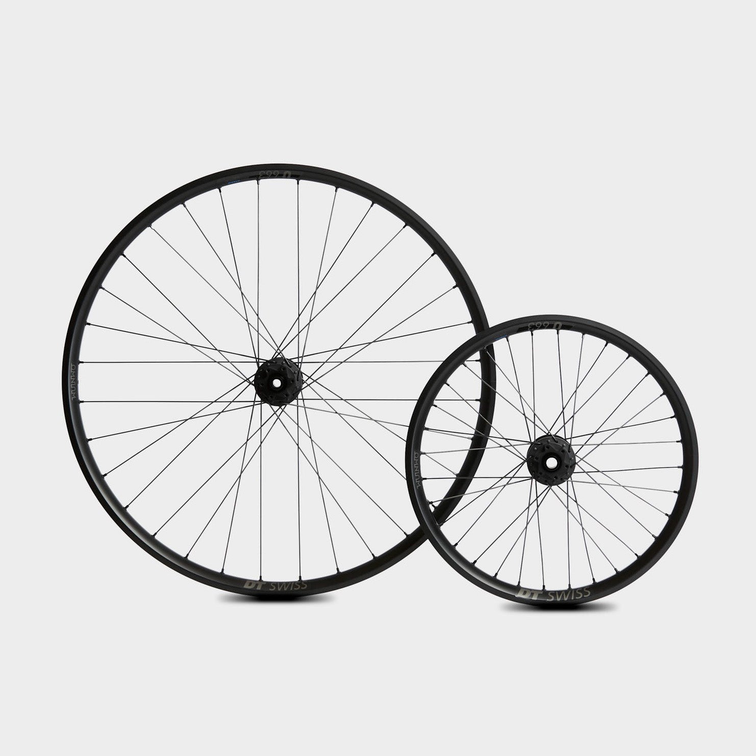 OMNIUM DT Swiss Cargo Wheel Set