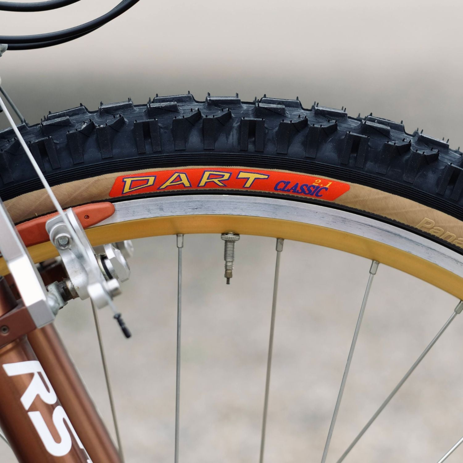 PANARACER Dart Classic