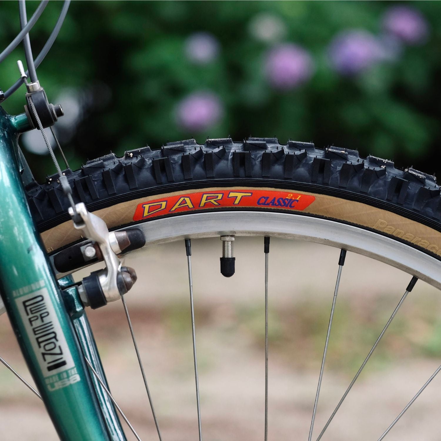 PANARACER Dart Classic