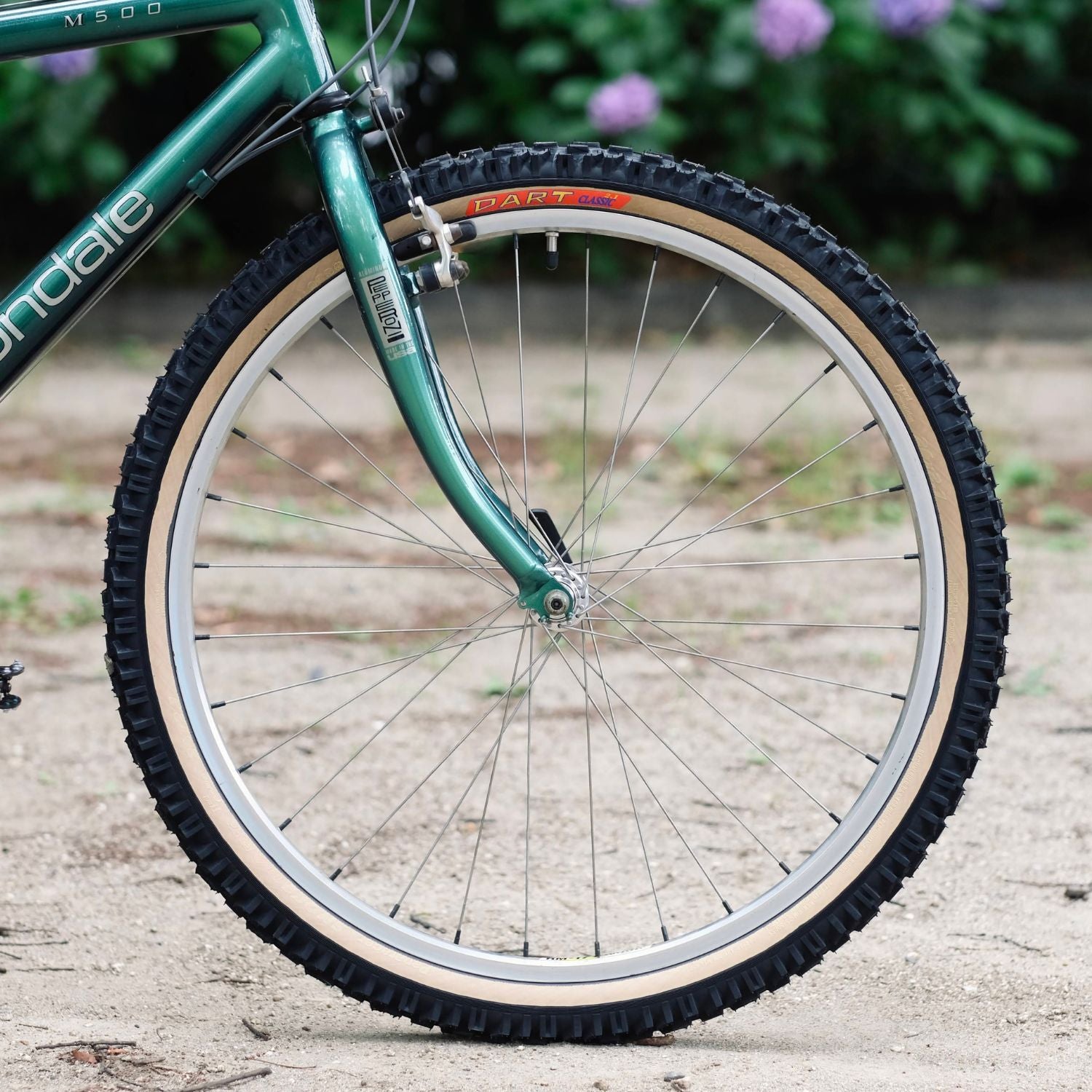 PANARACER Dart Classic