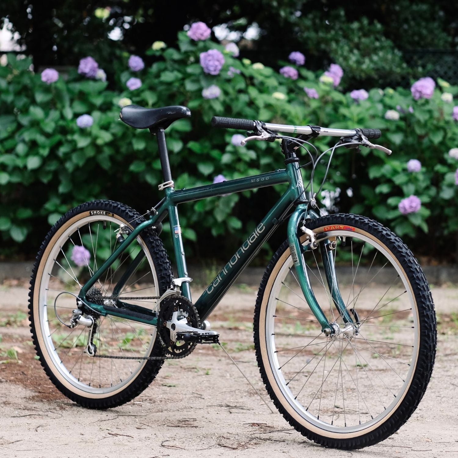 PANARACER Dart Classic