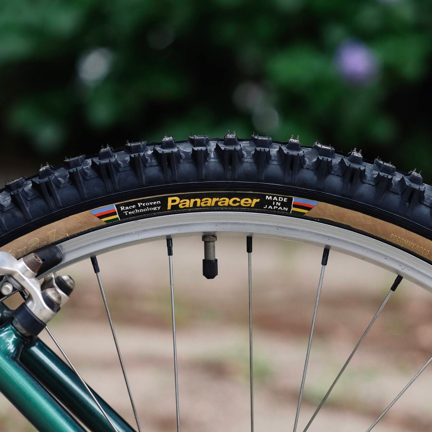 PANARACER Smoke Classic