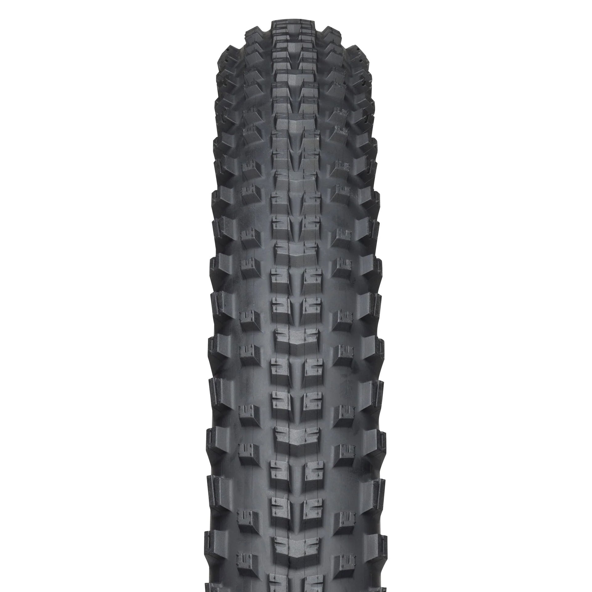 TERAVAIL Ehline Light & Supple