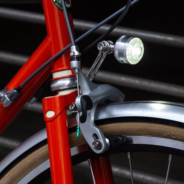 BLUE LUG BL Select Light Stay