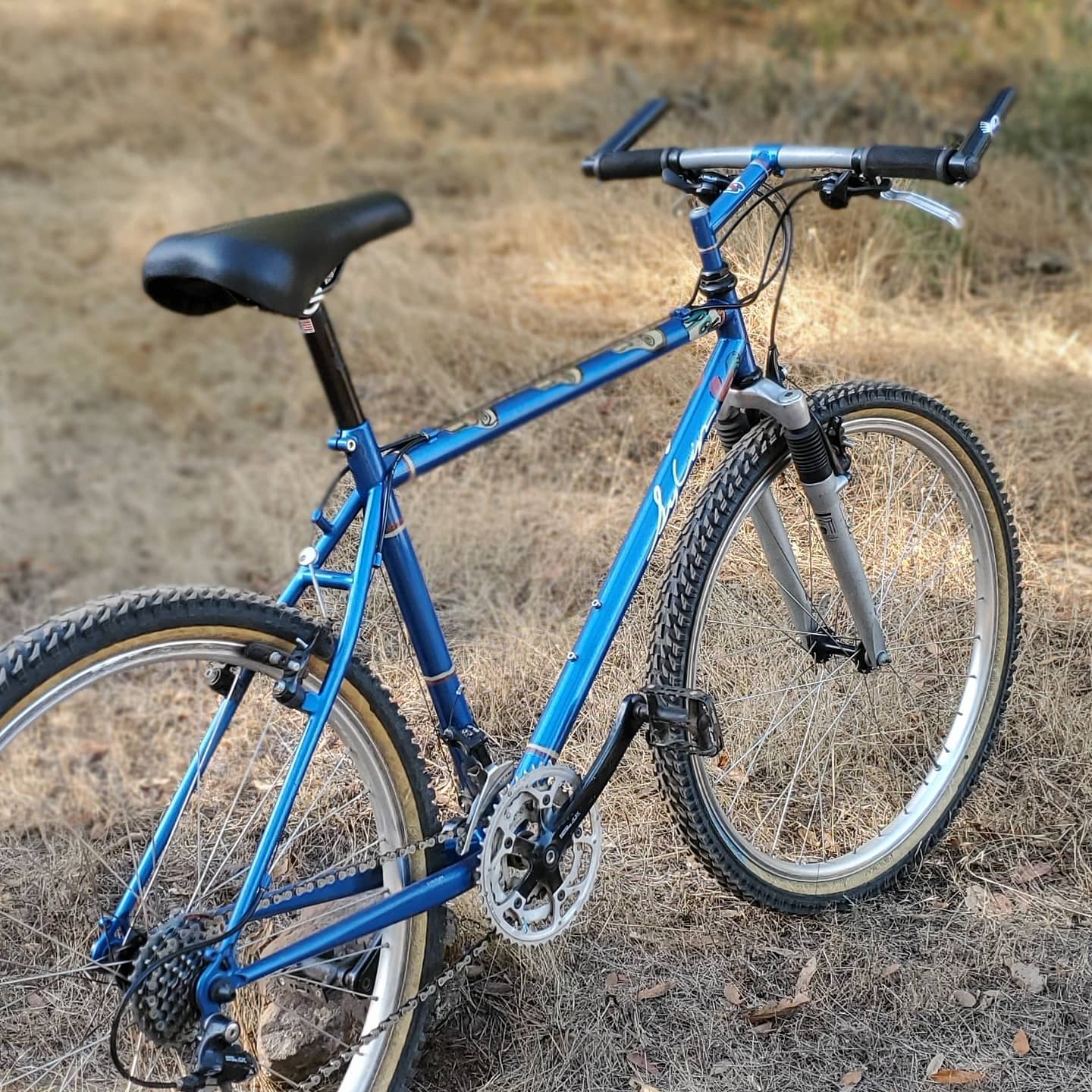 PANARACER Dart Classic