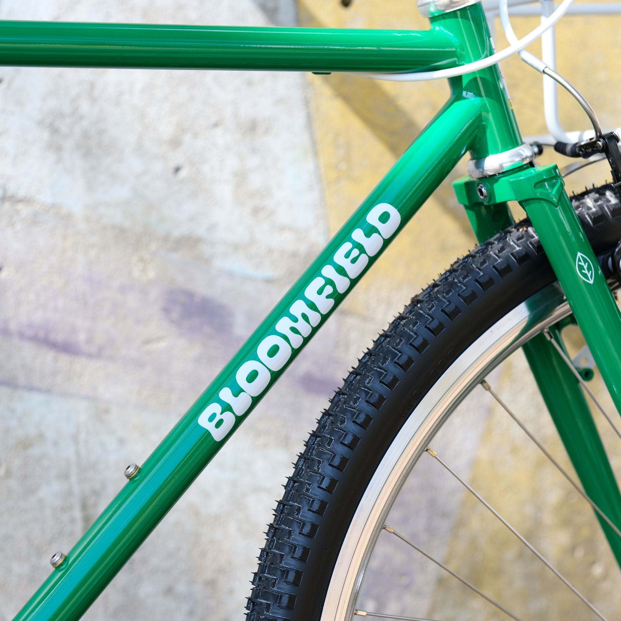 BASSI BIKES Bloomfield for Daily Life