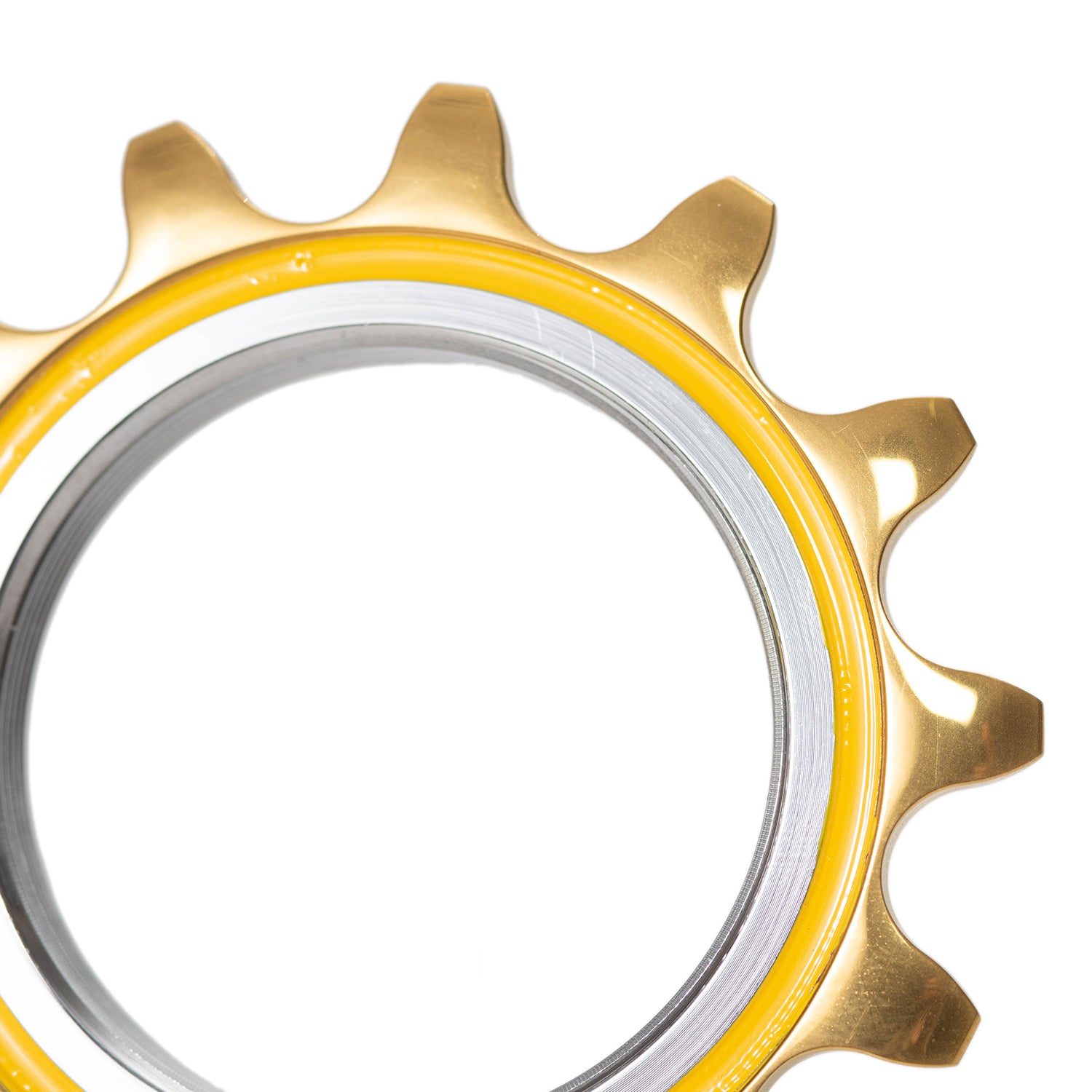 EURO-ASIA IMPORTS Gold Medal PRO