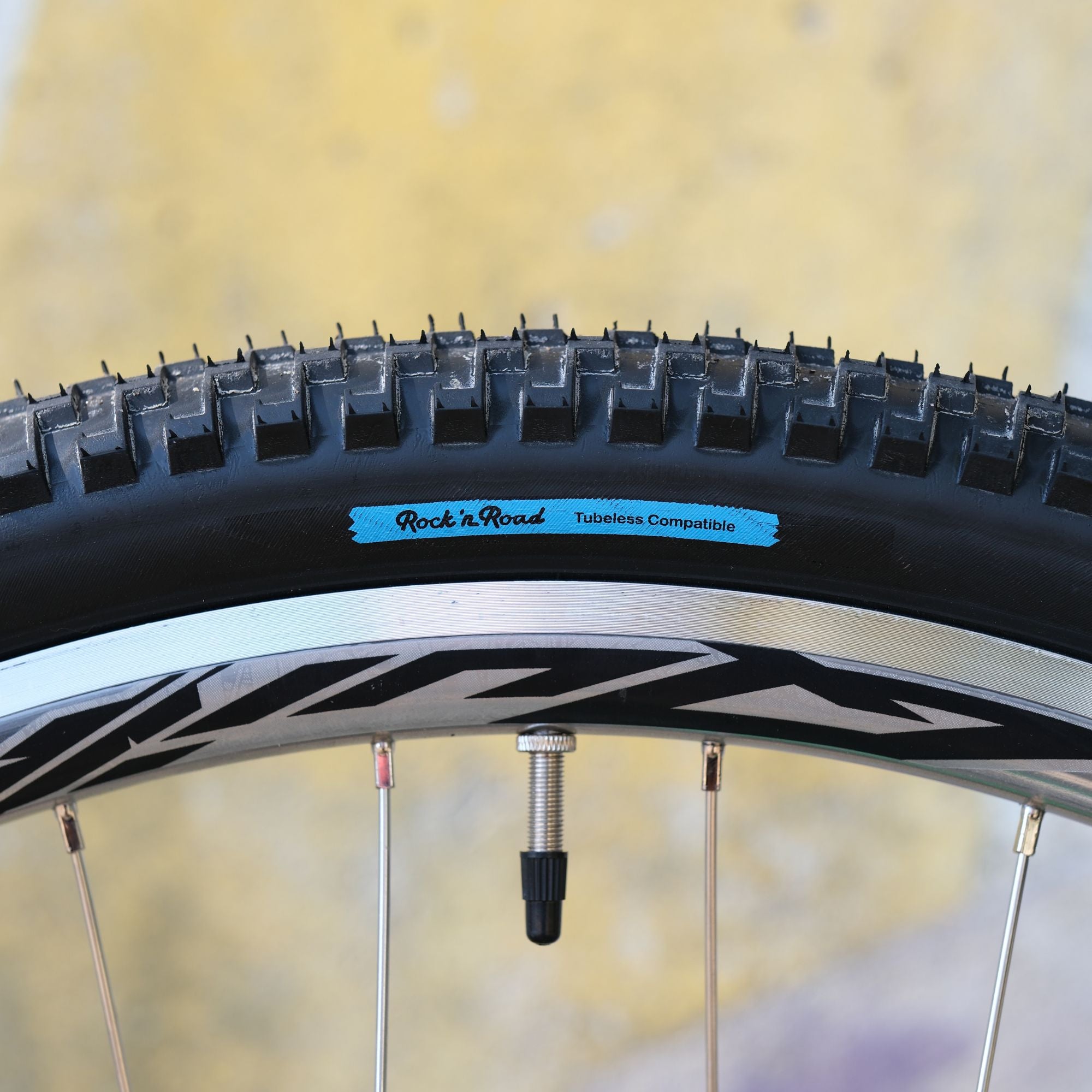 BASSI BIKES Bloomfield for Daily Life