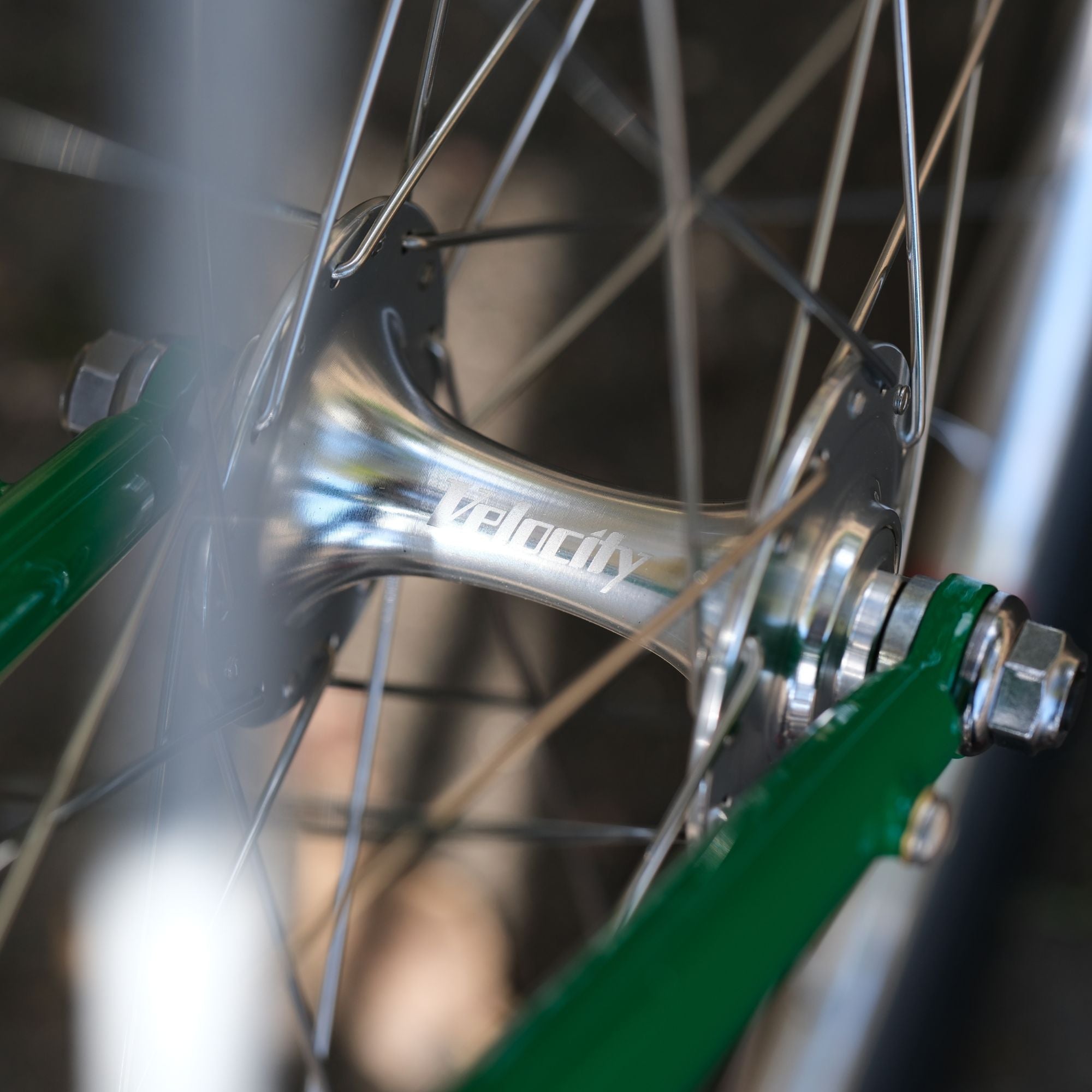 BASSI BIKES Bloomfield for Daily Life