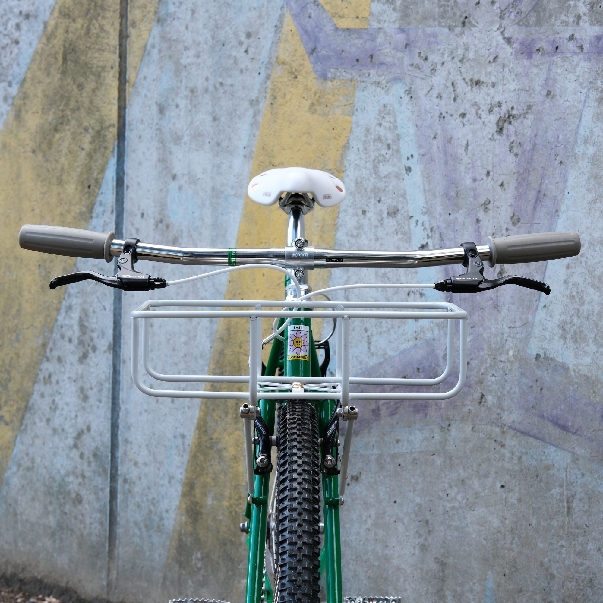 BASSI BIKES Bloomfield for Daily Life