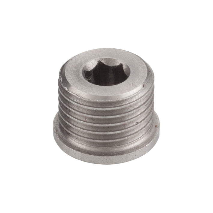 PROBLEM SOLVERS Derailleur Hanger Plug