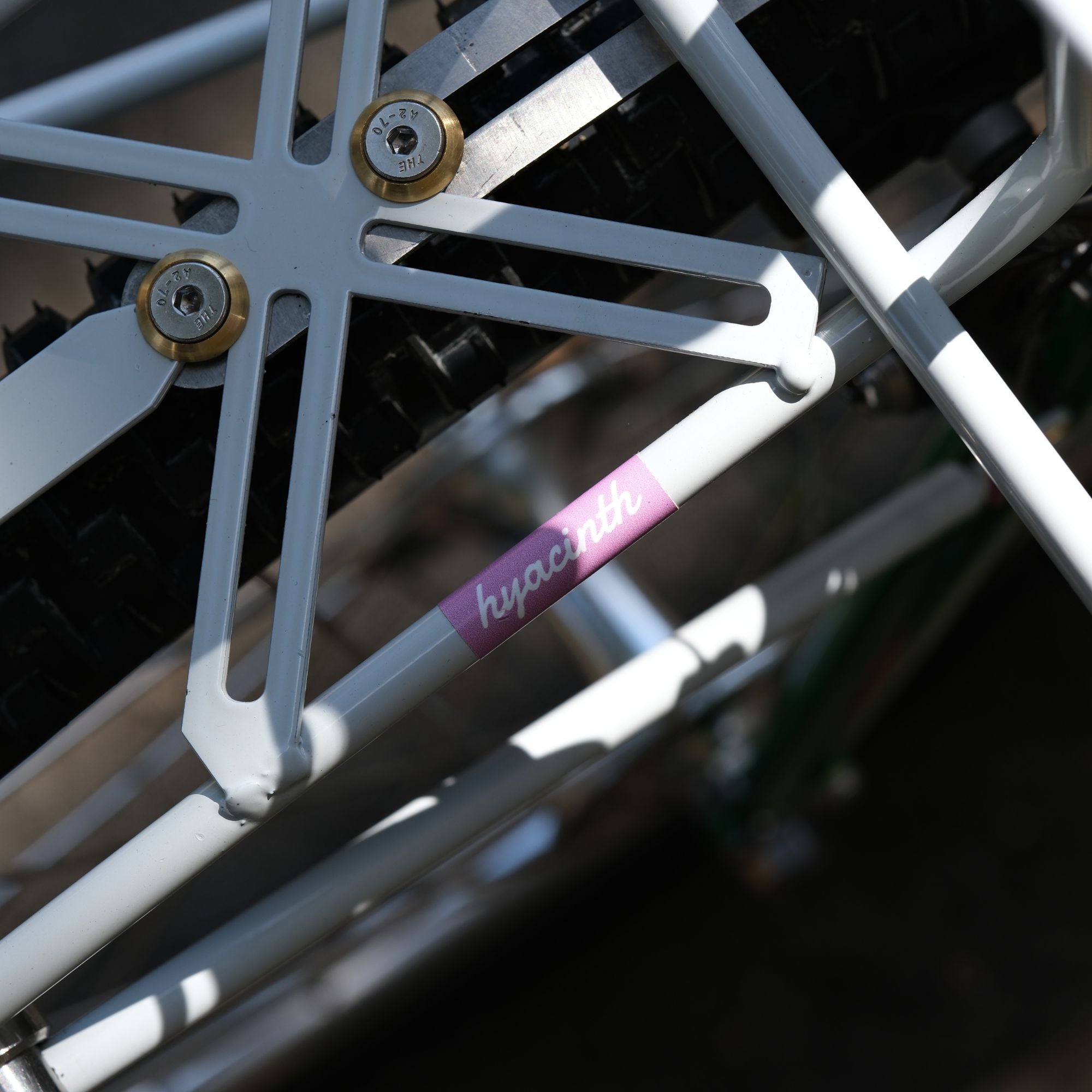 BASSI BIKES Bloomfield for Daily Life