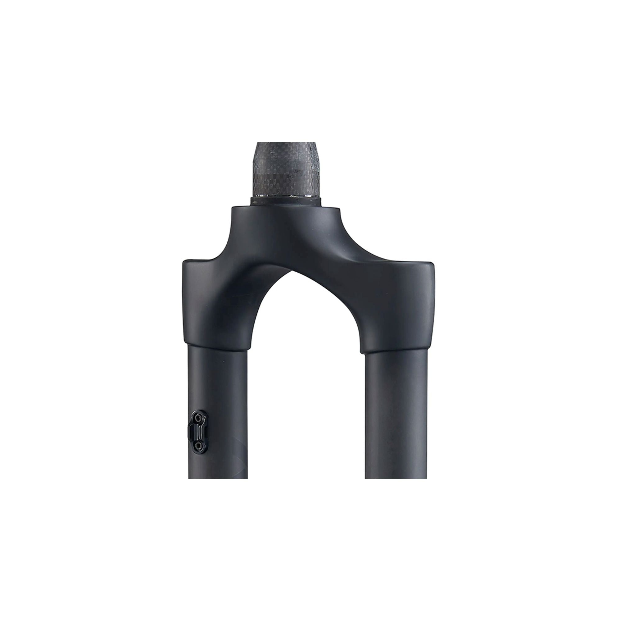 RITCHEY WCS Carbon Boost Mountain Fork