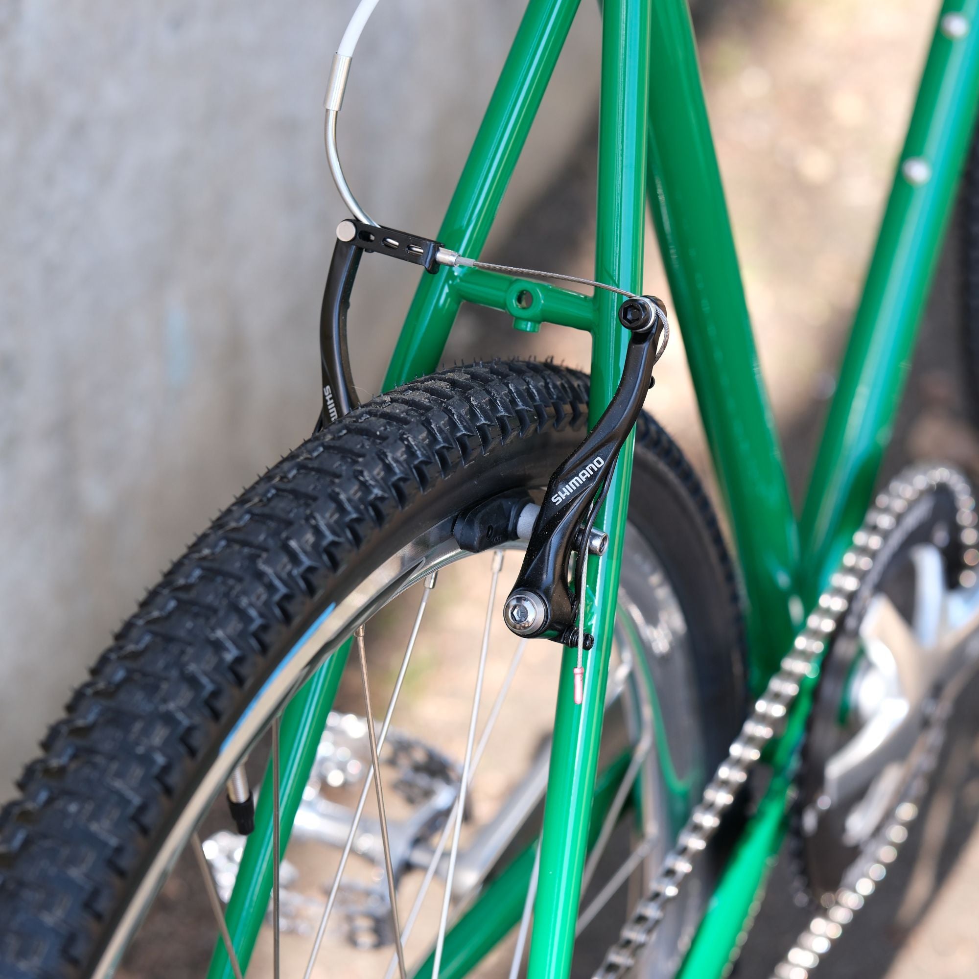 BASSI BIKES Bloomfield for Daily Life