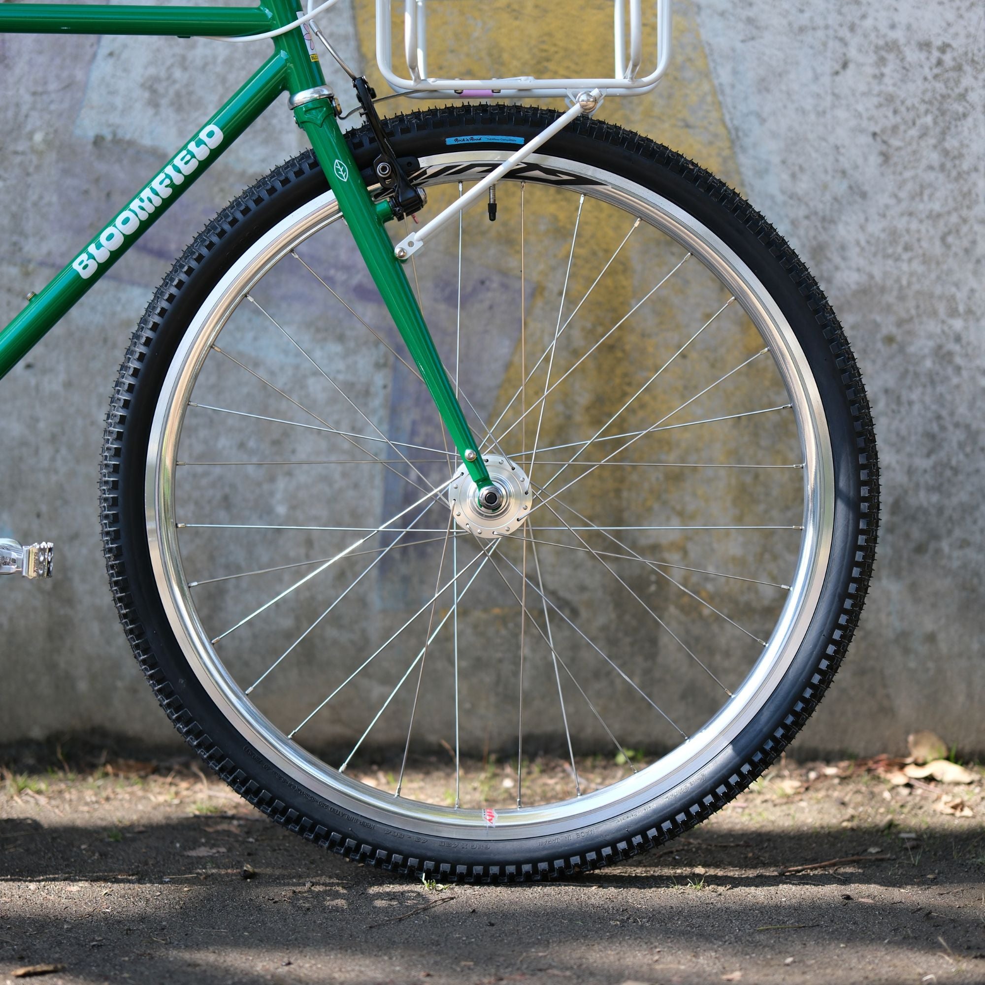 BASSI BIKES Bloomfield for Daily Life