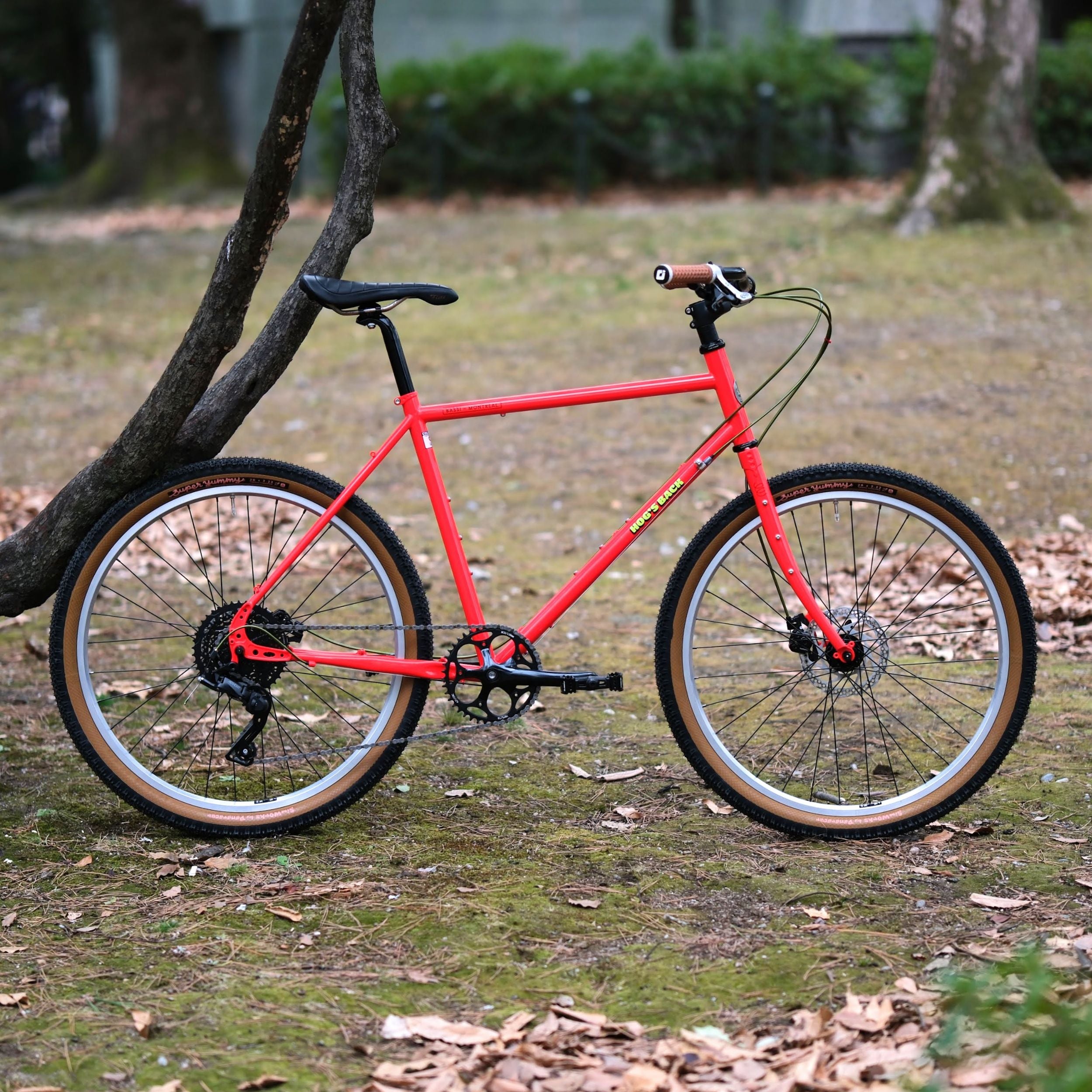 BASSI BIKES Hog's Back Fun 3 Cruiser