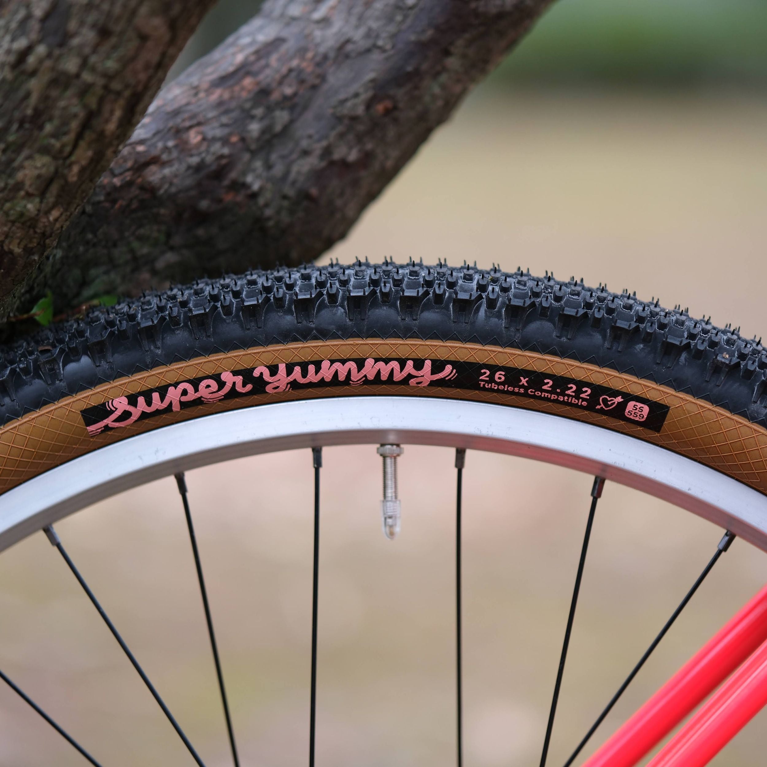 BASSI BIKES Hog's Back Fun 3 Cruiser