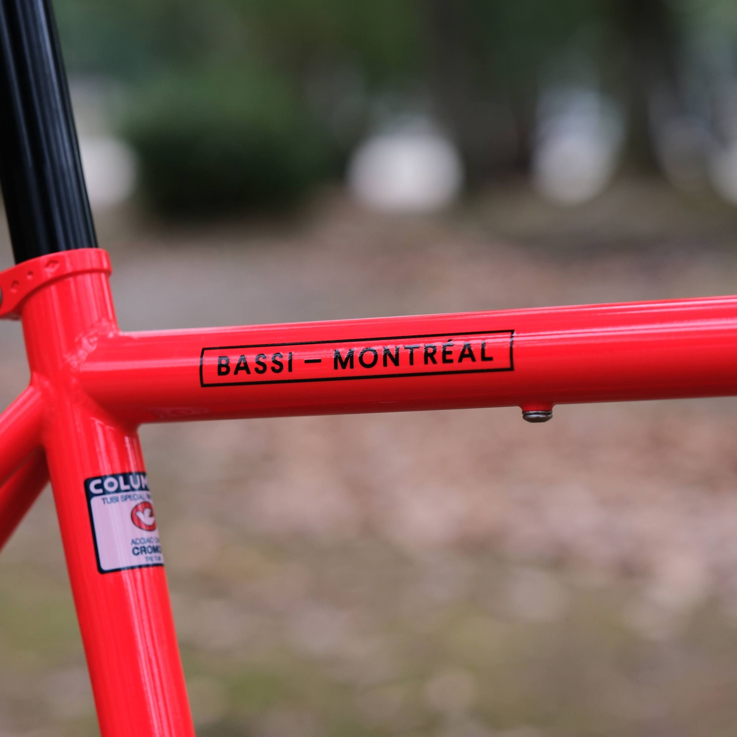 BASSI BIKES Hog's Back Fun 3 Cruiser