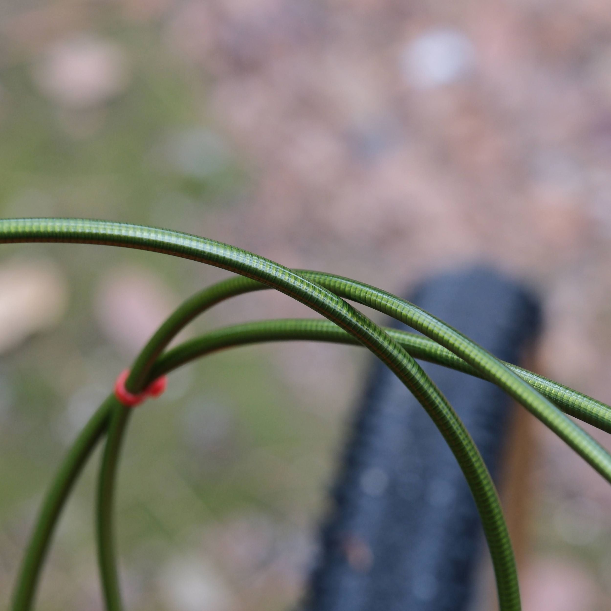 BASSI BIKES Hog's Back Fun 3 Cruiser