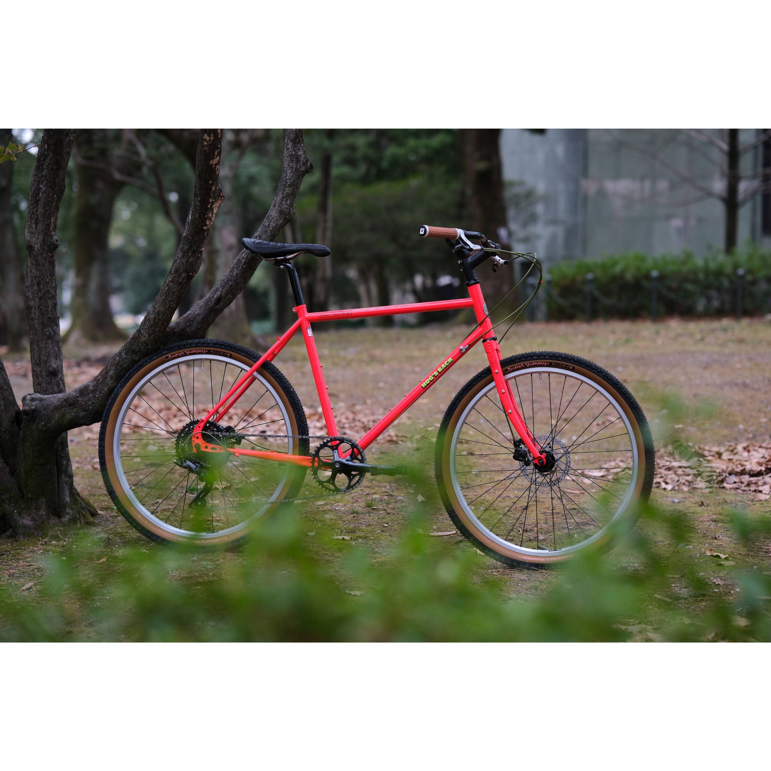 BASSI BIKES Hog's Back Fun 3 Cruiser