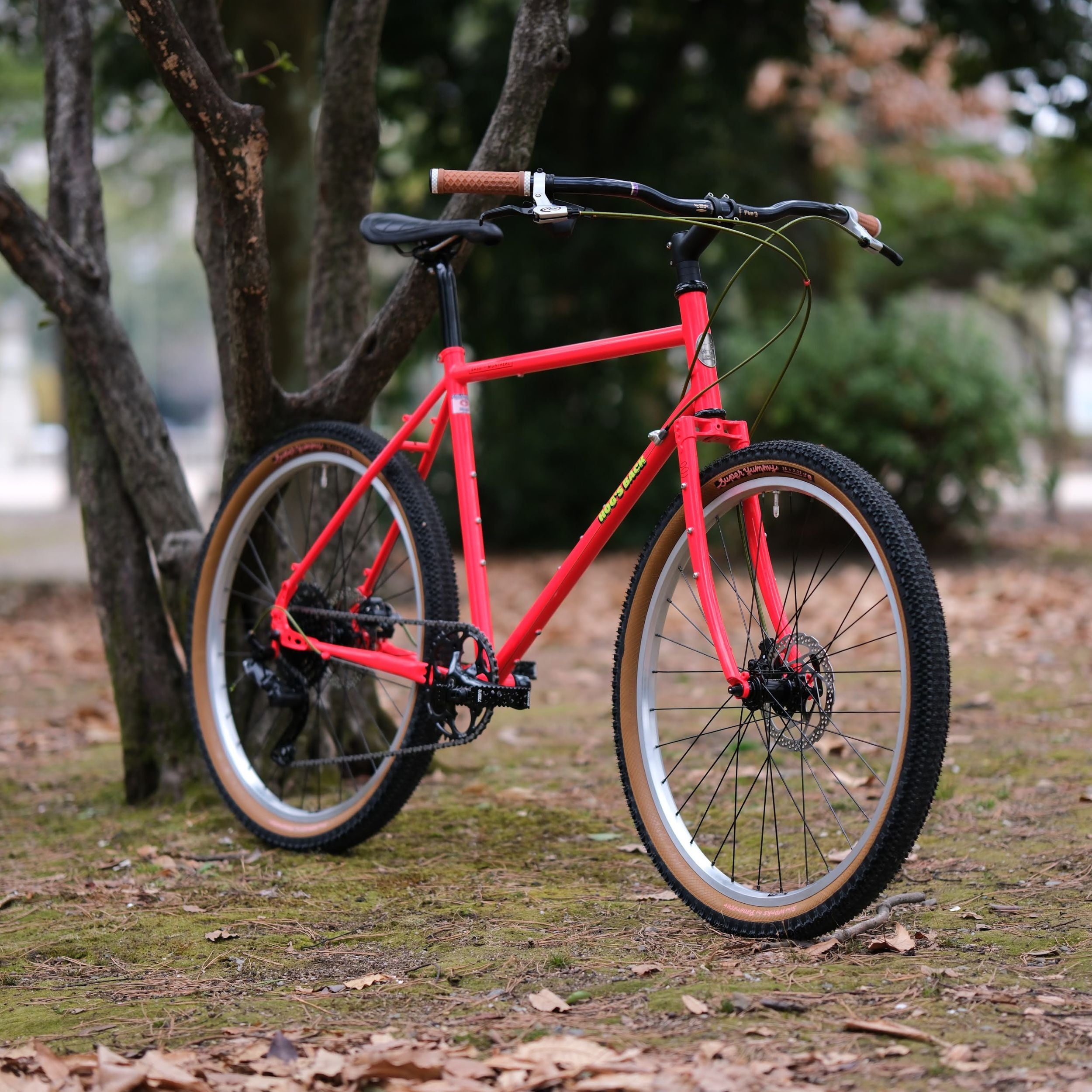 BASSI BIKES Hog's Back Fun 3 Cruiser