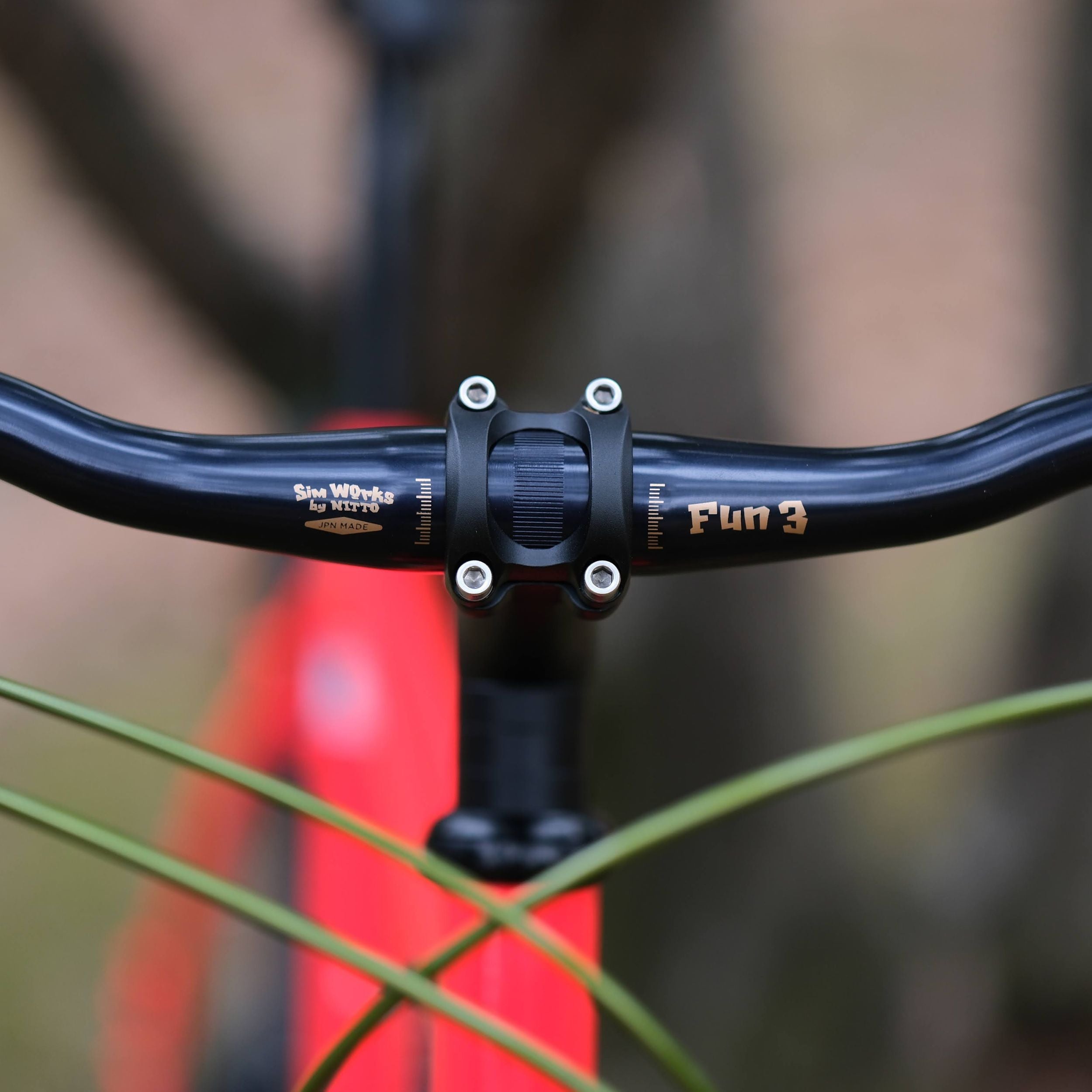 BASSI BIKES Hog's Back Fun 3 Cruiser