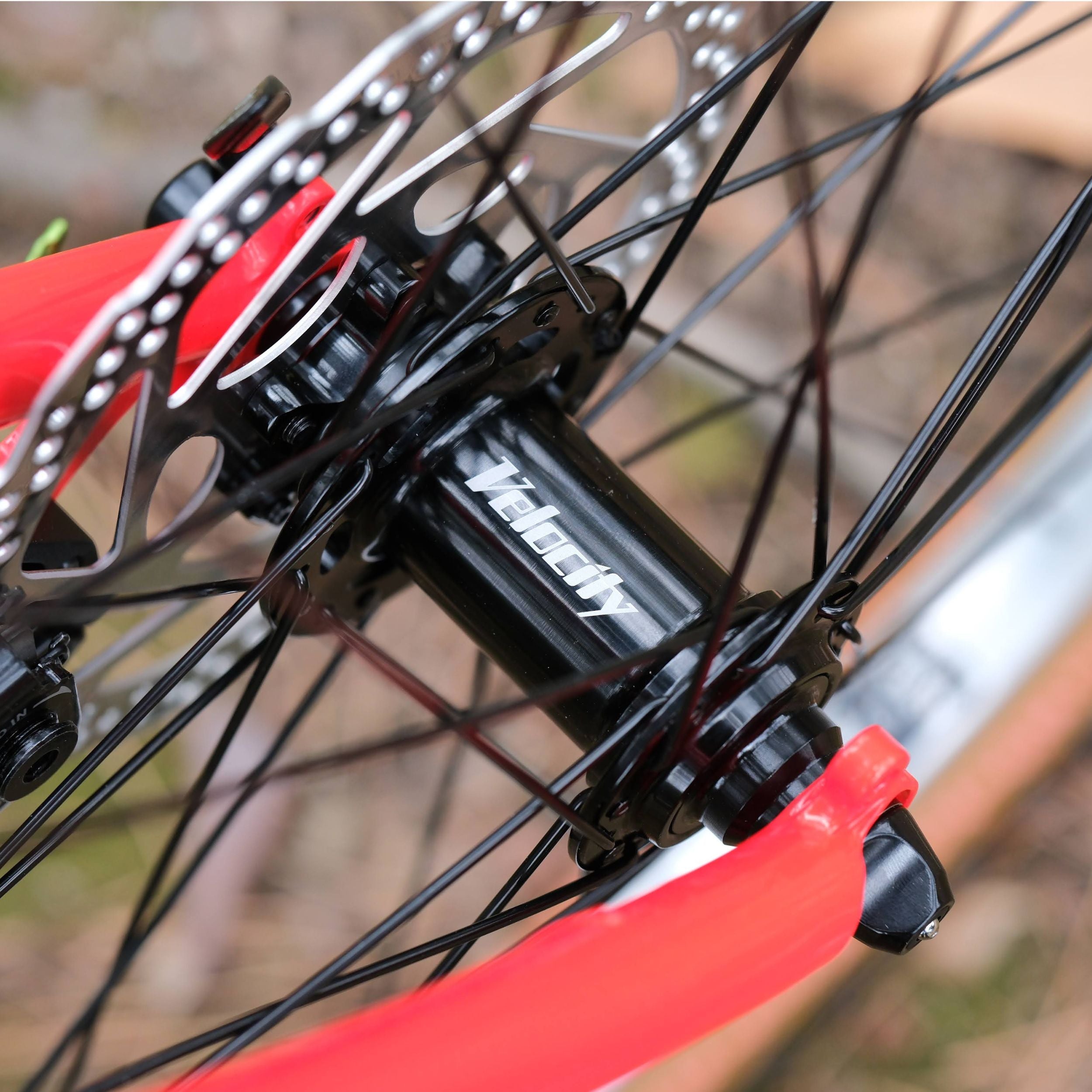 BASSI BIKES Hog's Back Fun 3 Cruiser