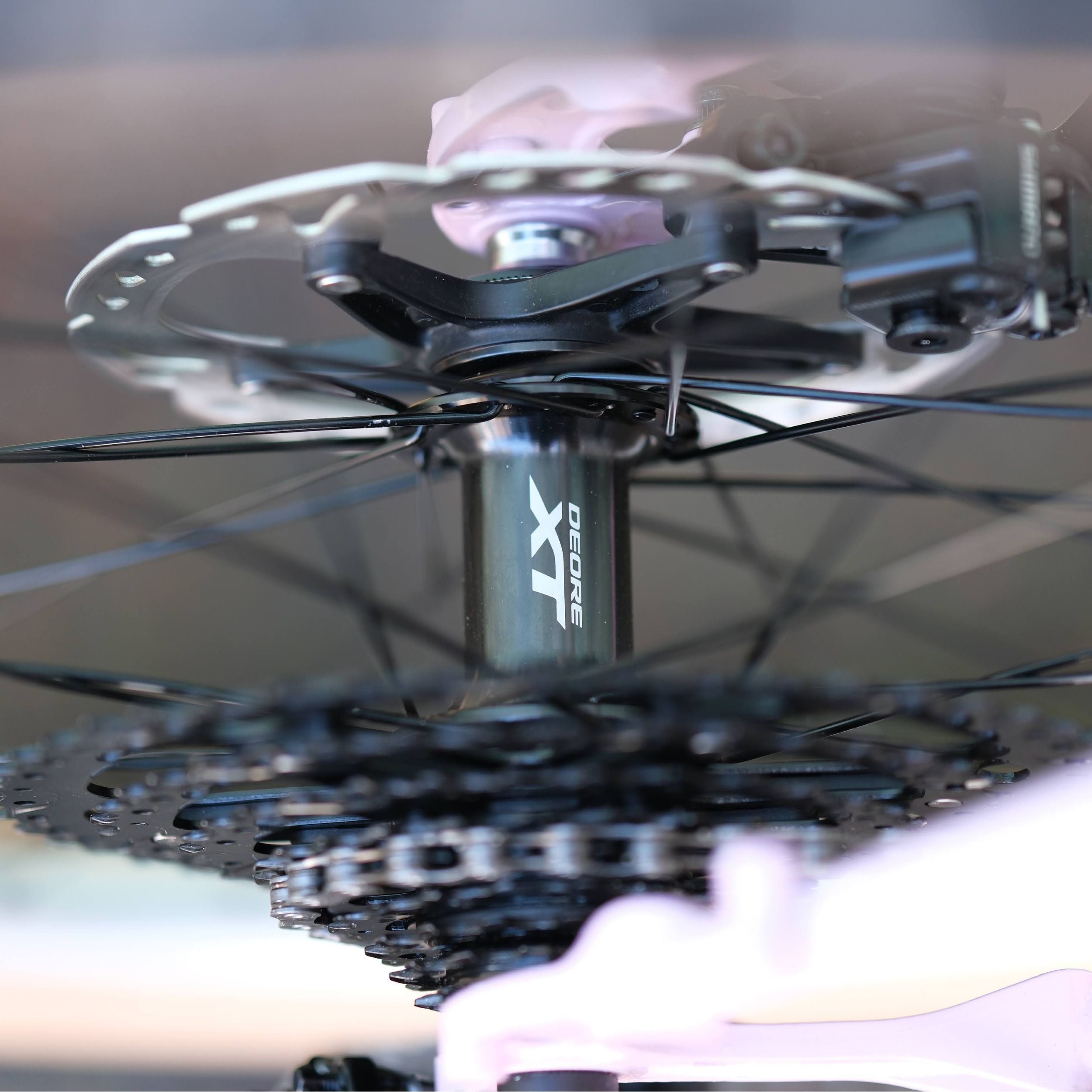 BASSI BIKES Hog's Back World Tourer Special