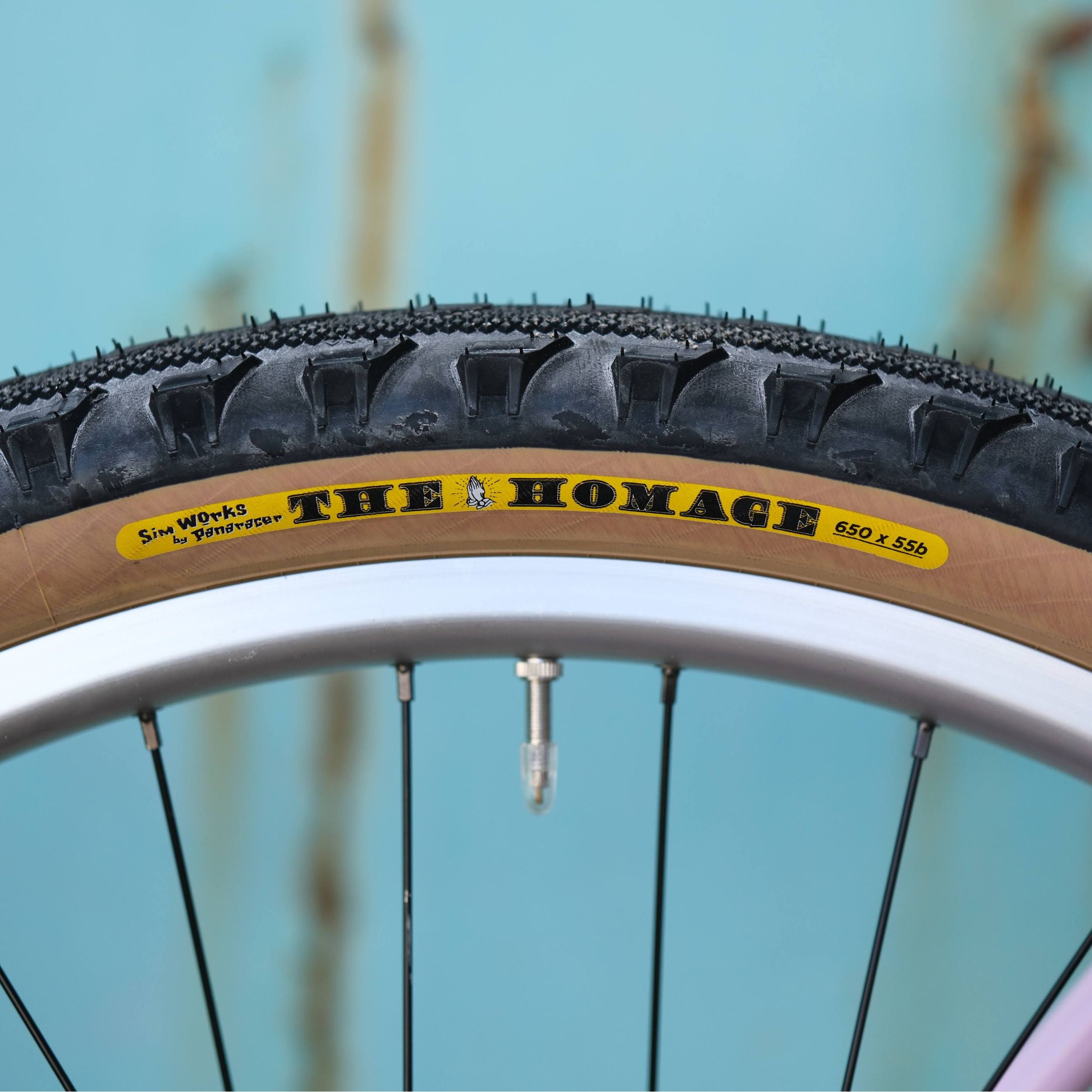 BASSI BIKES Hog's Back World Tourer Special