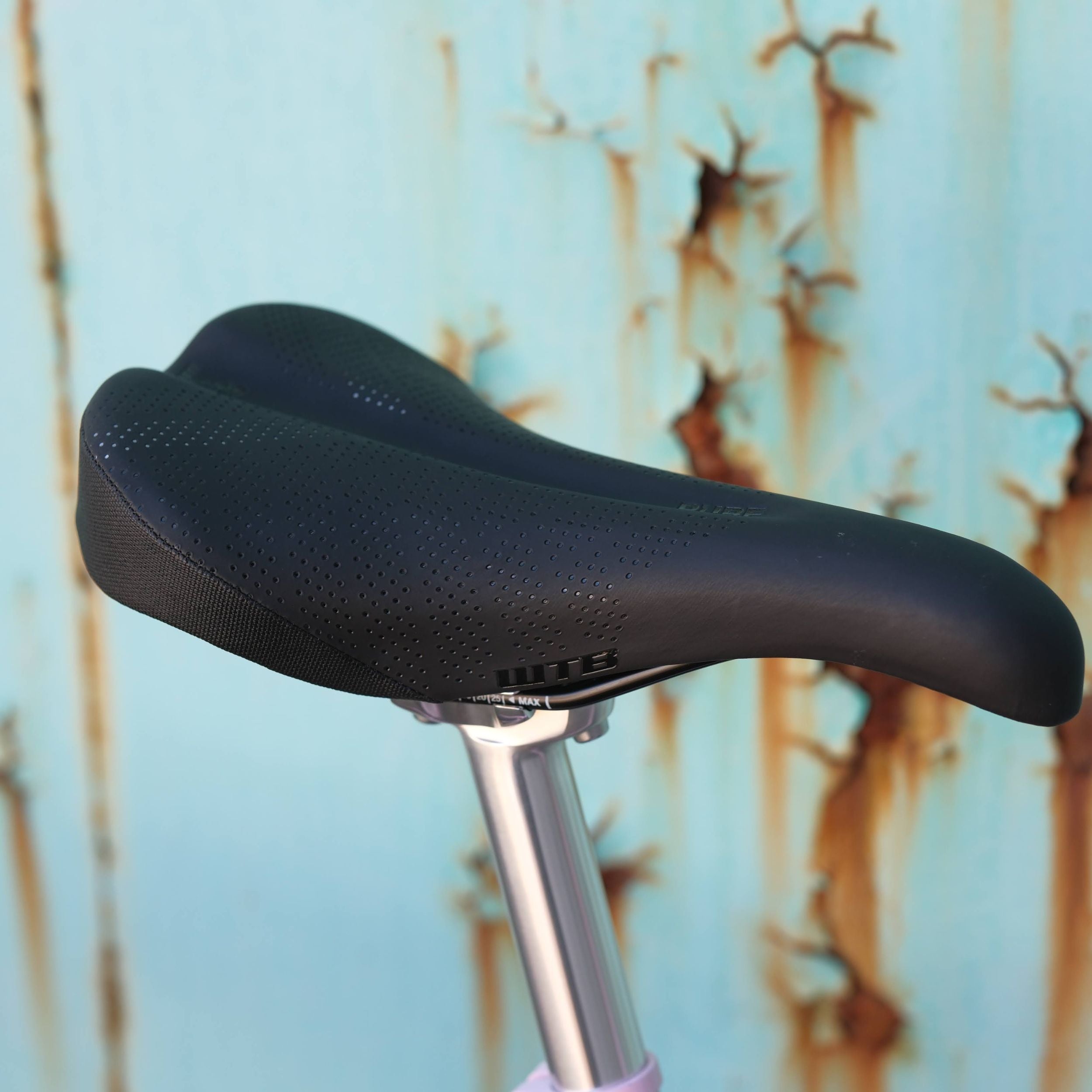 BASSI BIKES Hog's Back World Tourer Special