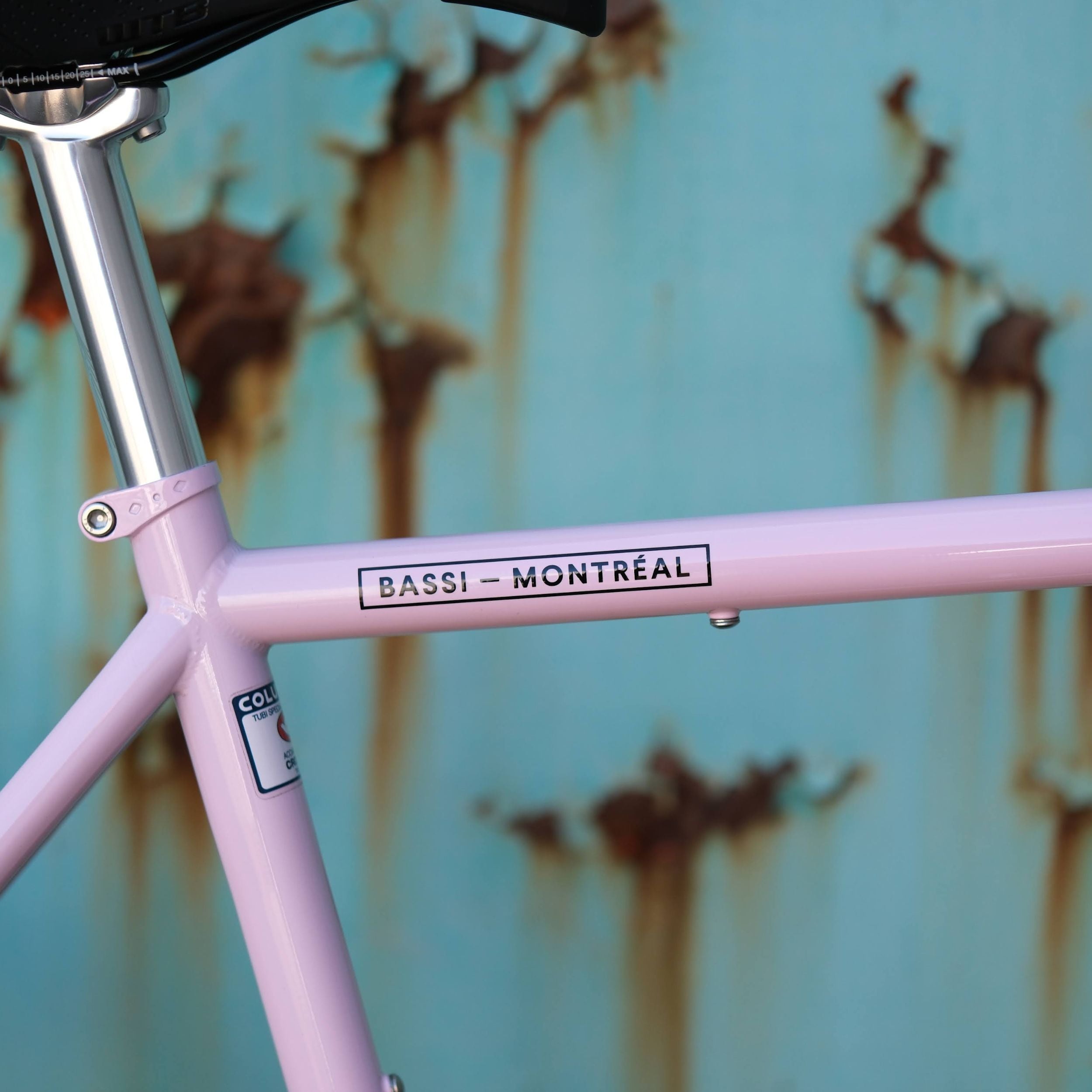 BASSI BIKES Hog's Back World Tourer Special